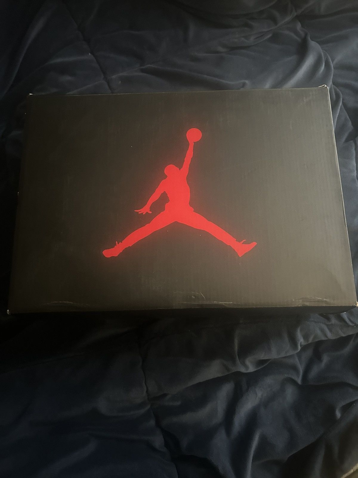 Jordan Brand Jordan 10 Charlotte Size US 10 / EU 43 - 10 Thumbnail