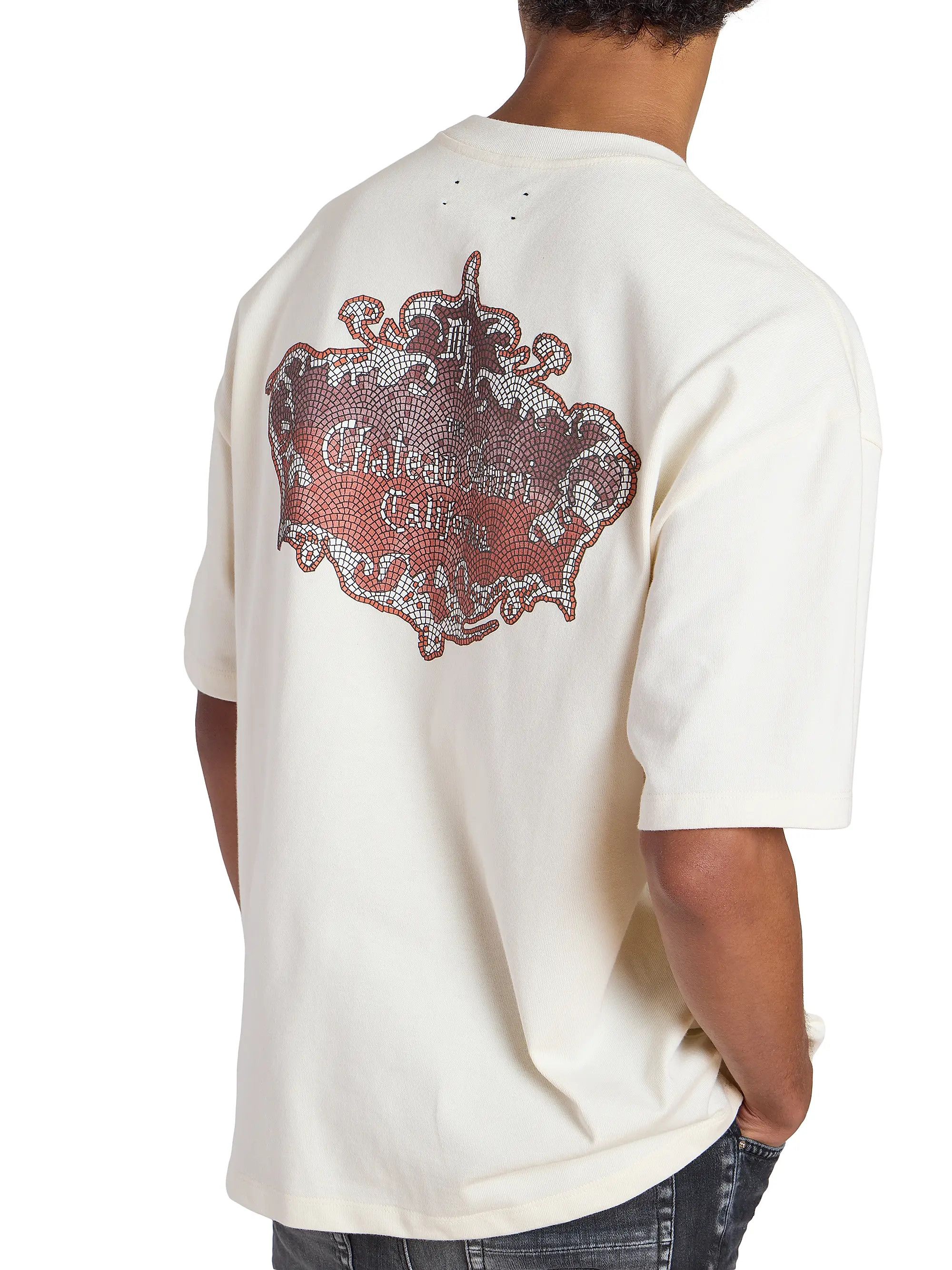 Amiri os11x0526 Chateau Crest Logo Oversized T-Shirt in White Size US M / EU 48-50 / 2 - 6 Thumbnail