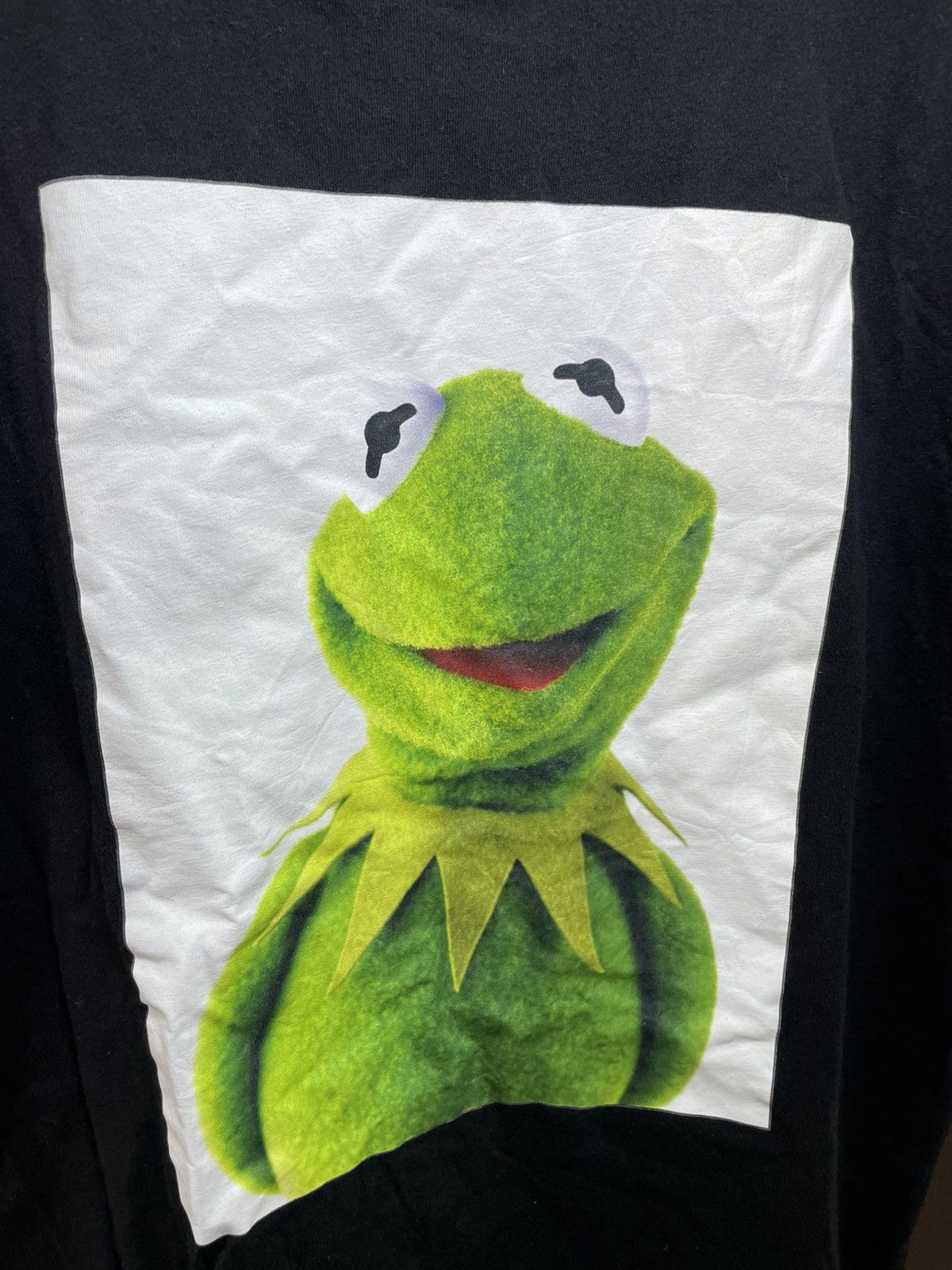 Disney 2017 The Muppets Photo Tee Shirt (Medium Size) Size US M / EU 48-50 / 2 - 10 Thumbnail