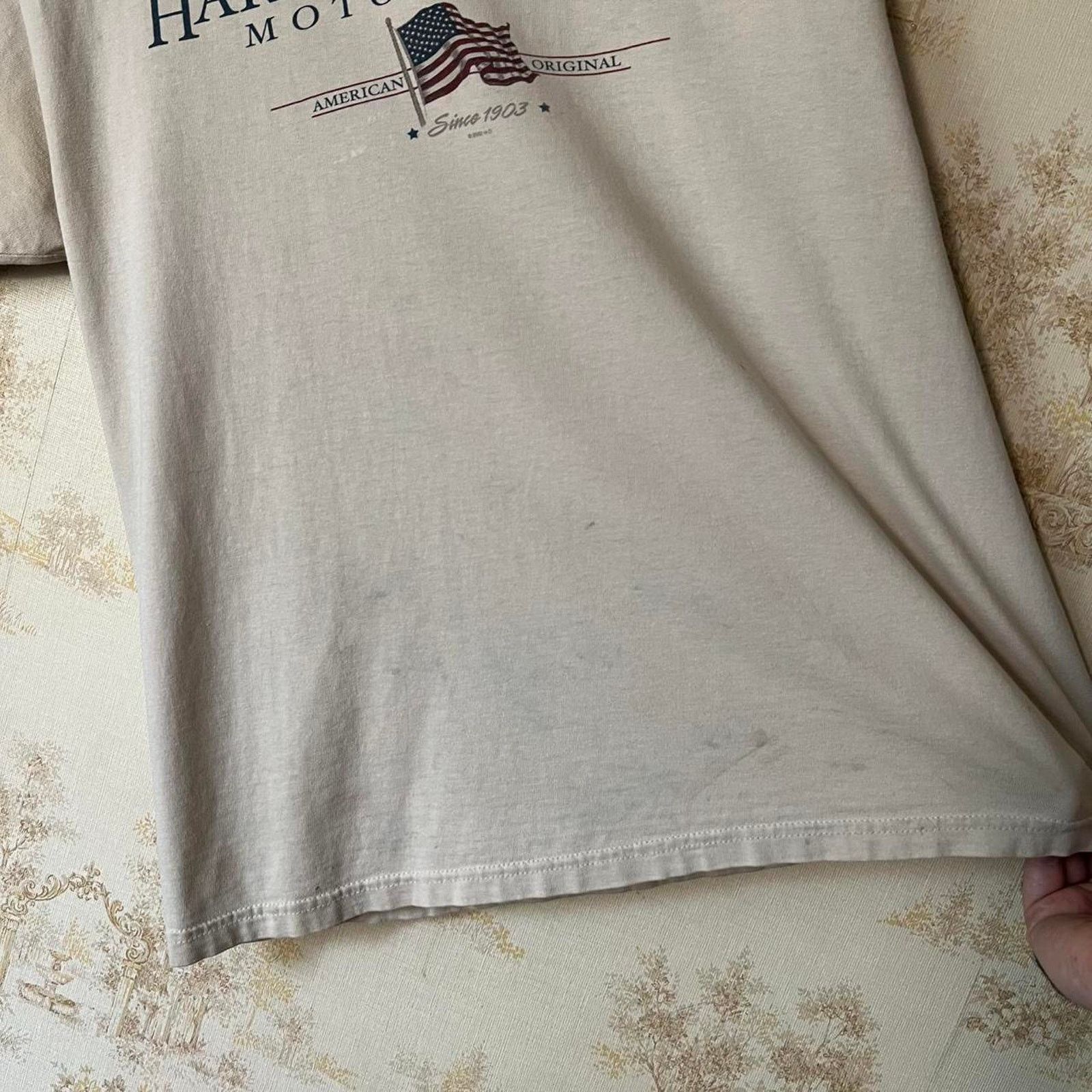 Harley Davidson 00s Distressed Harley Davidson T-Shirt | Rice Lake Wisconsin Size US L / EU 52-54 / 3 - 7 Thumbnail