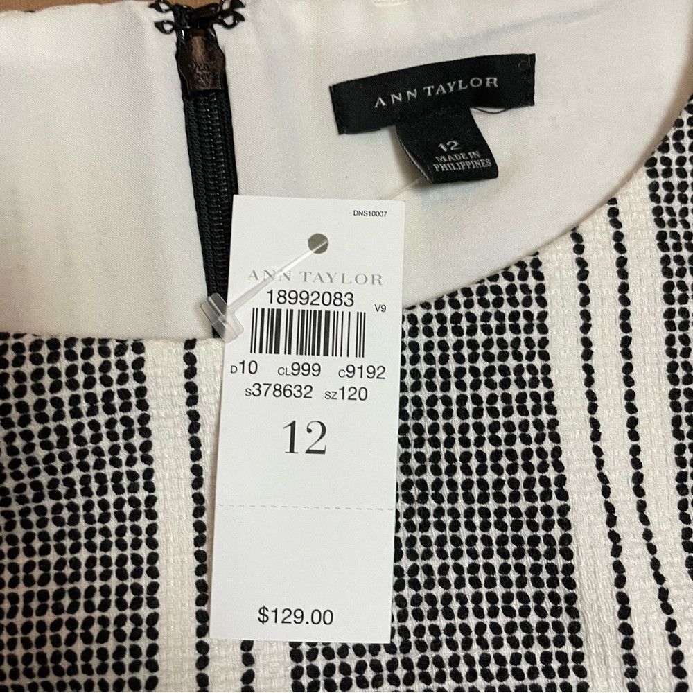 Ann Taylor NWT New $129 Ann Taylor Black White Sleeveless Cotton Dress Size XL / US 12-14 / IT 48-50 - 7 Thumbnail