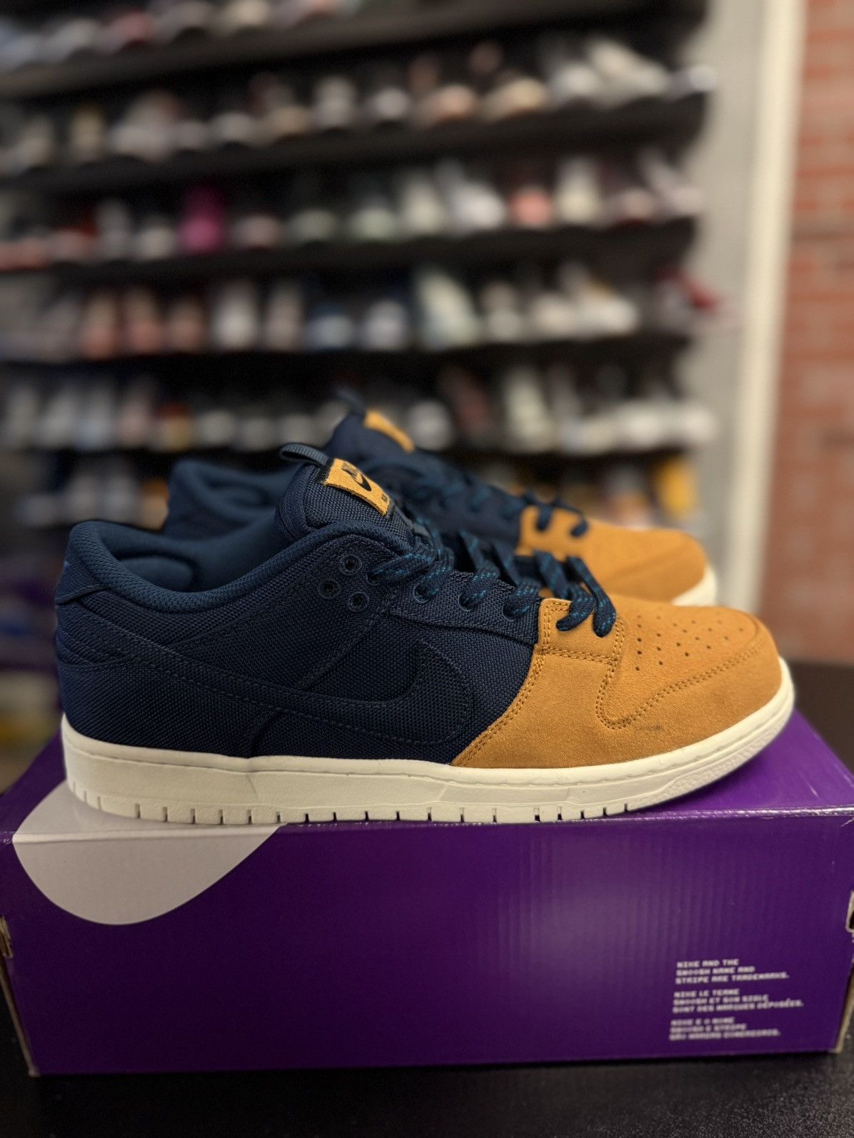 Nike SB Dunk Low 90's Backpack Size 10.5 (NEW)