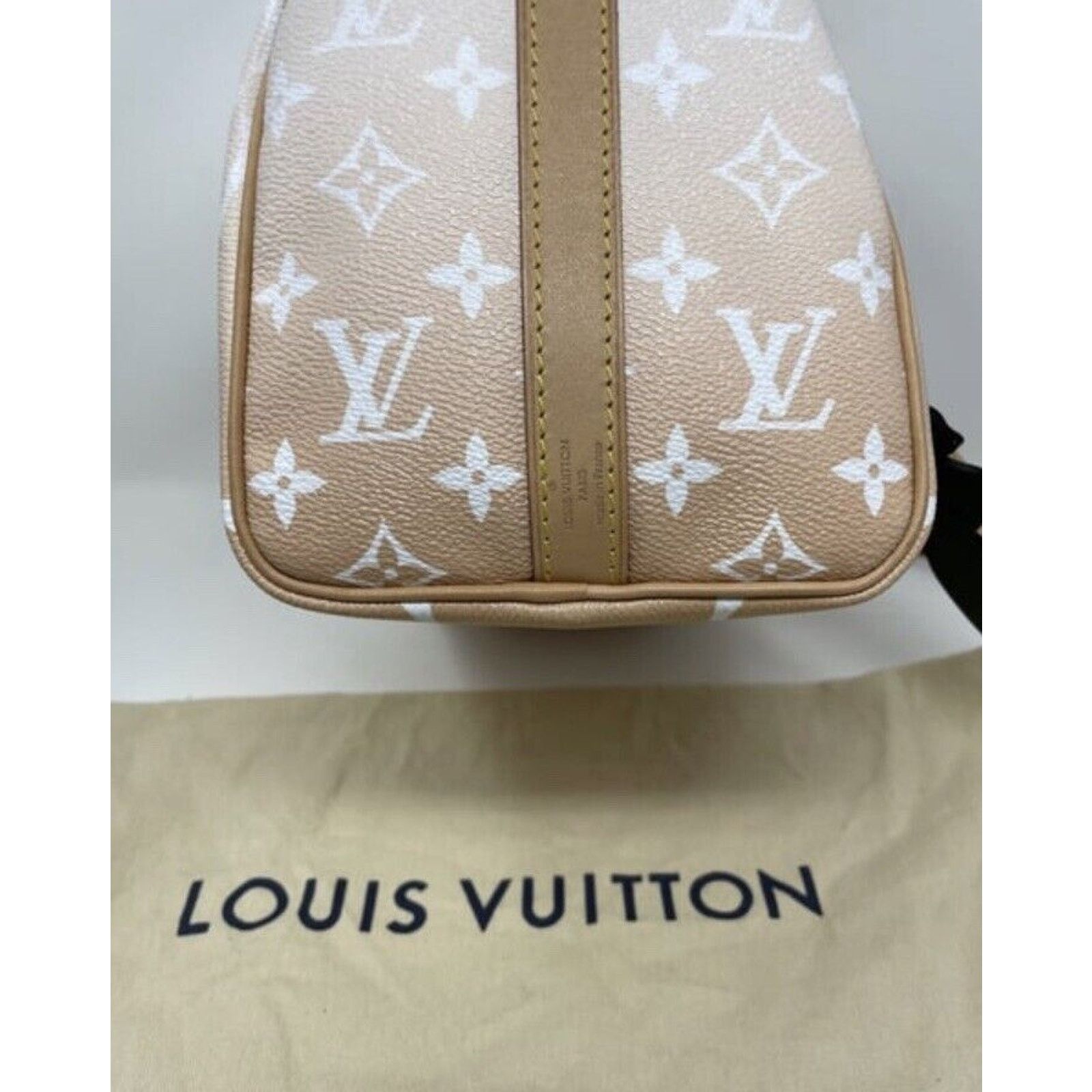 Louis Vuitton Louis Vuitton Speedy 25 Bandouliere Summer By The Pool Mist Size ONE SIZE - 10 Thumbnail