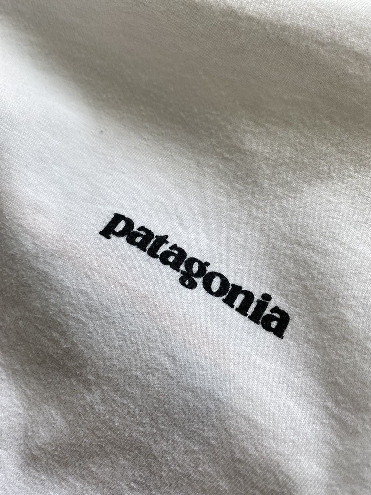 Patagonia Patagonia logo long sleeve t shirt Size US L / EU 52-54 / 3 - 5 Thumbnail