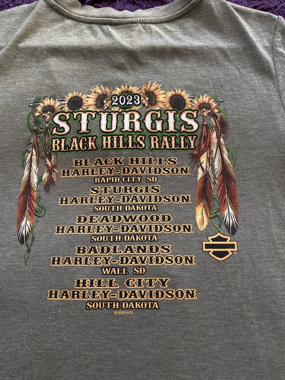 Harley Davidson × Vintage Crazy Harley Davidson 2023 Sturgis Black Hills Rally T-Shirt Size US M / EU 48-50 / 2 - 12 Thumbnail
