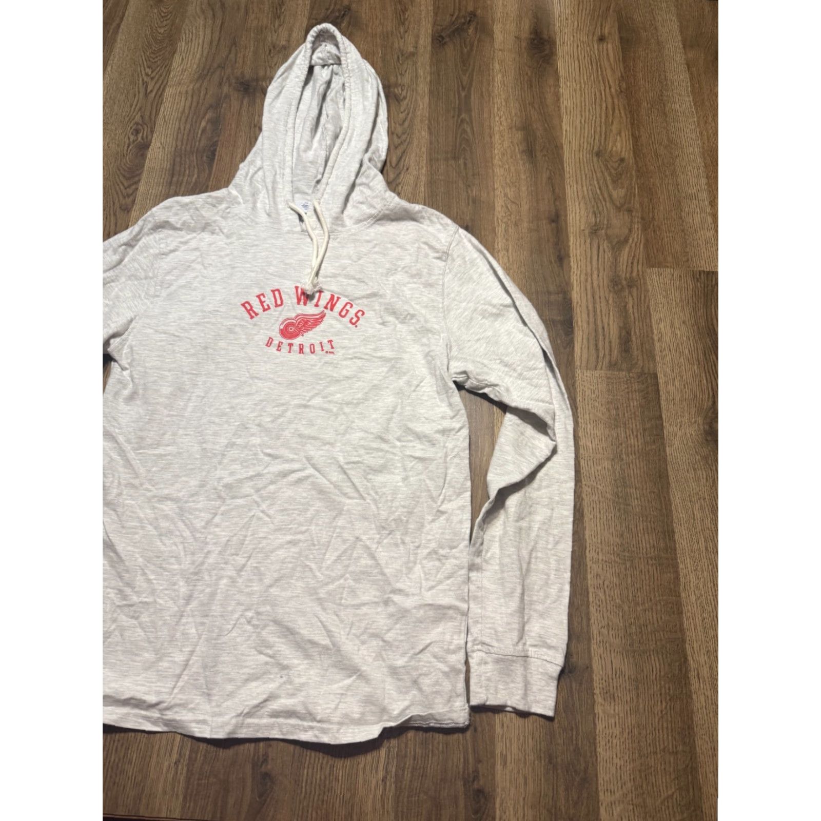 Champion Champion Hoodie Mens Size Small Gray Long Sleeve Pullover Red Wing Printed Size US S / EU 44-46 / 1 - 4 Thumbnail