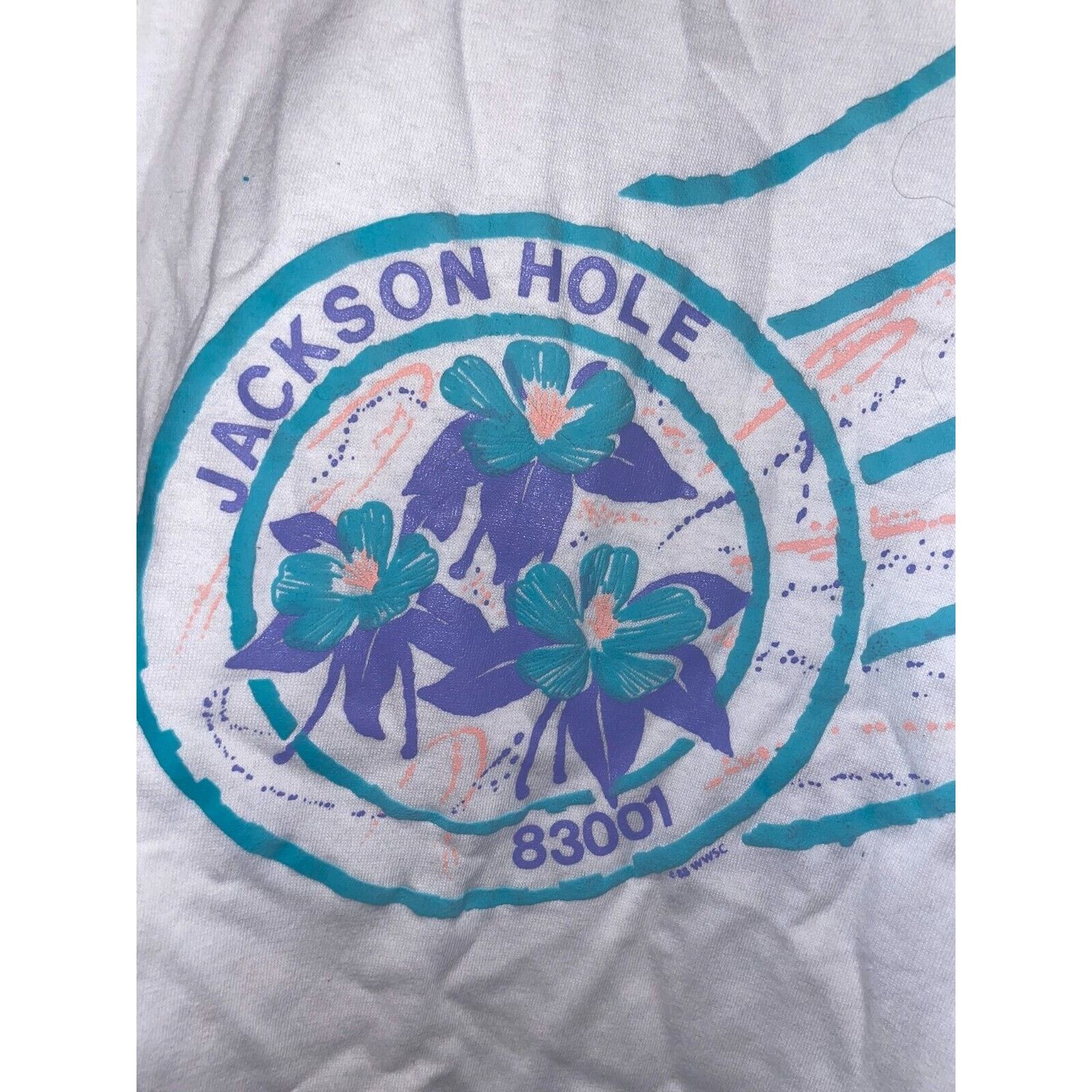 Vintage Womens Vintage Jackson Hole Shirt Wyoming 83001 Top Tee OS Size ONE SIZE - 3 Thumbnail