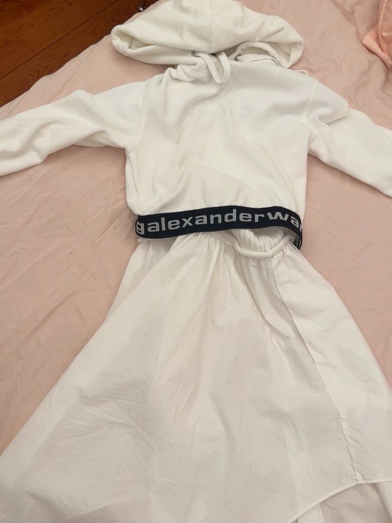 Alexander Wang Alexander Wang Hoodie and Skirt Set Size XXS / US 00 / IT 34 - 1 Thumbnail