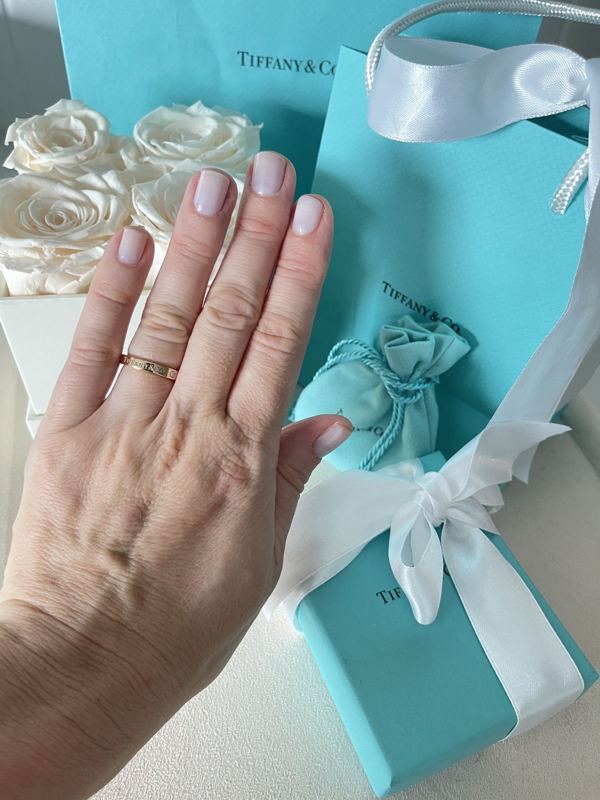 Tiffany & Co. Band Ring with Diamonds RG size 5 NEW $1850