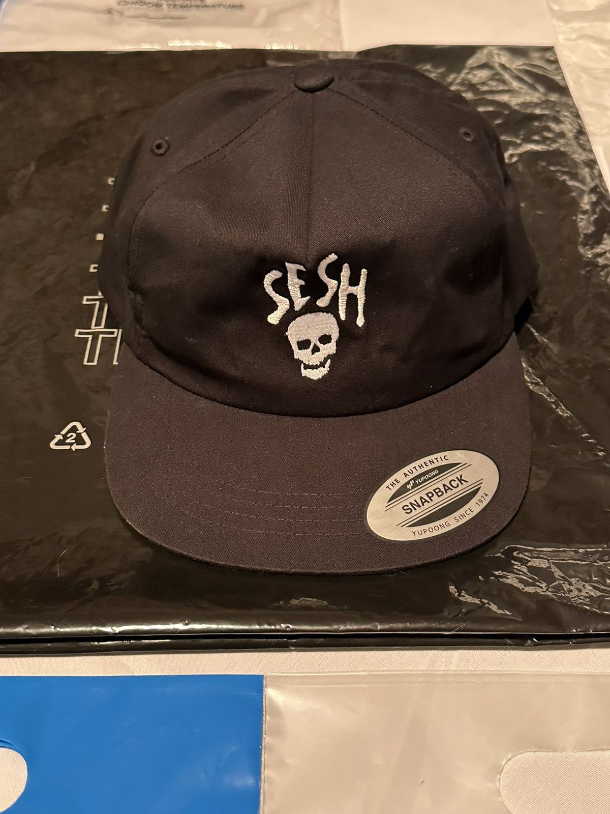 image of Bones x Team Sesh Skull Logo Black Snapback, Men's