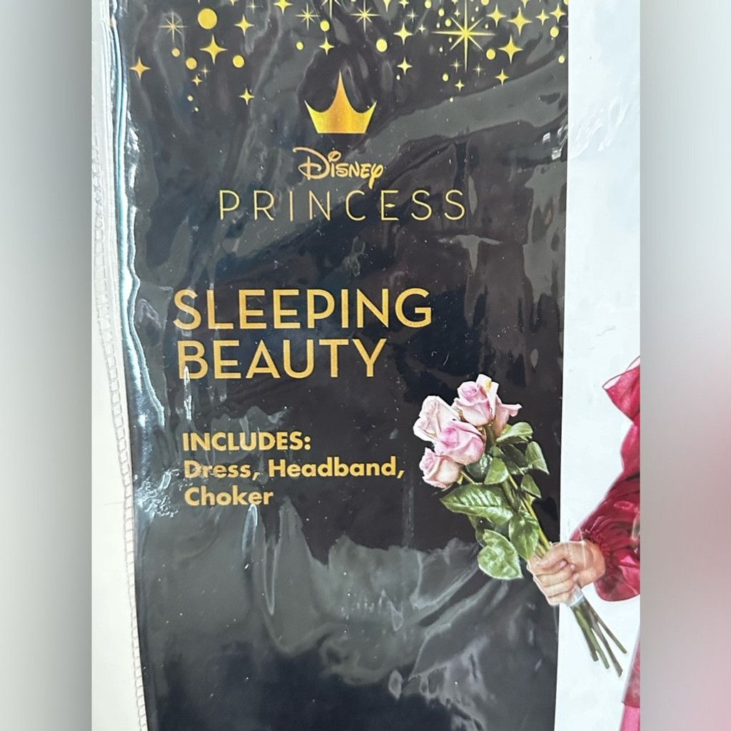 Disney Disney Princess SLEEPING BEAUTY Pink Adult Size L 12/14. Size ONE SIZE - 2 Thumbnail
