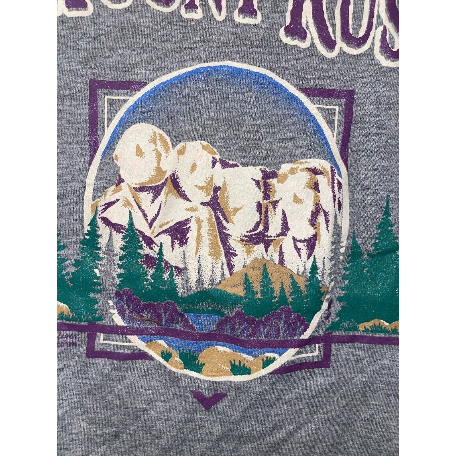 Jerzees Vintage South Dakota Shirt Mount Rushmore Gray 90s Tee VTG L Size US L / EU 52-54 / 3 - 3 Thumbnail