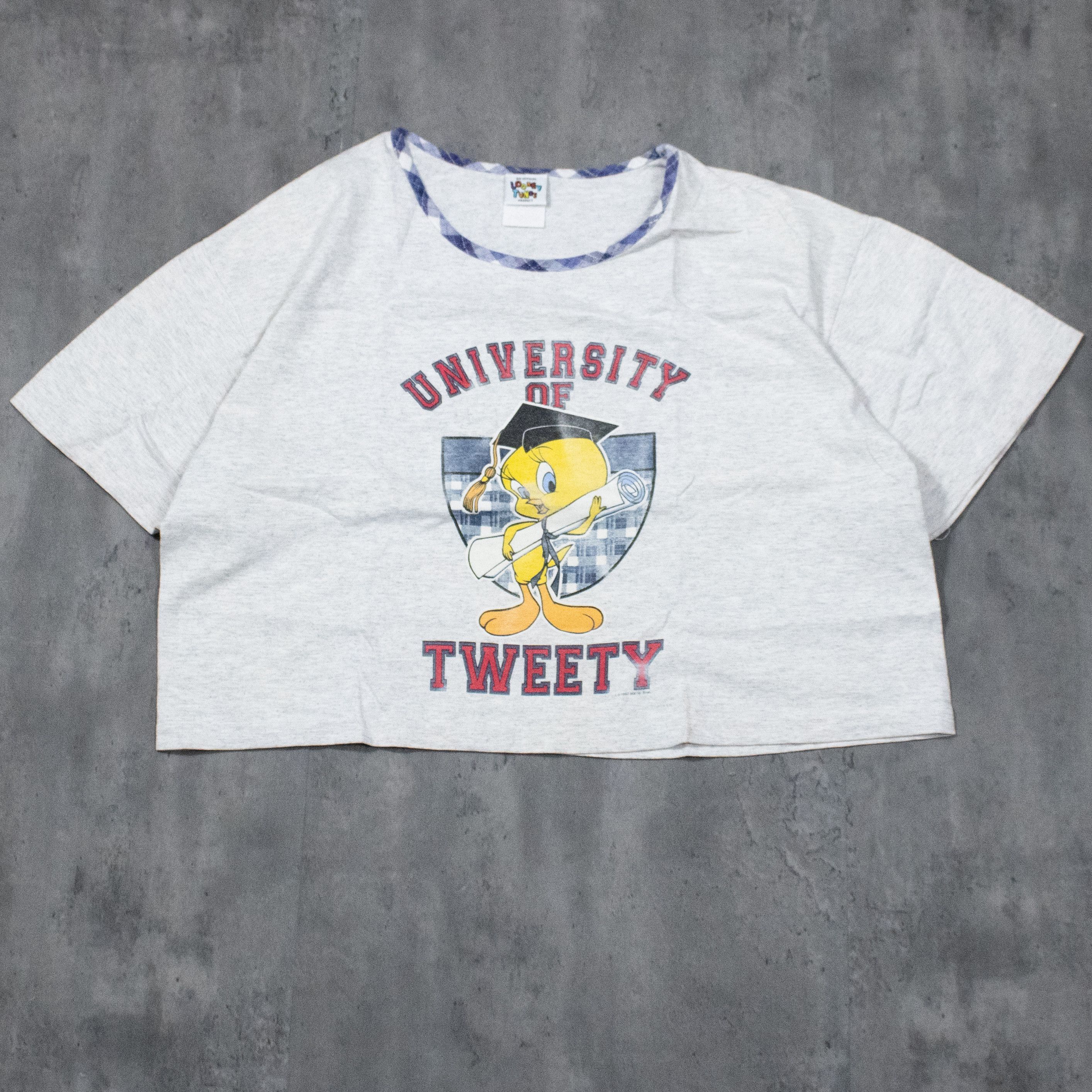 Cartoon Network × Vintage Vintage 1997 Tweety University Cropped Grey Crop Top T-Shirt Size L / US 10 / IT 46 - 3 Thumbnail