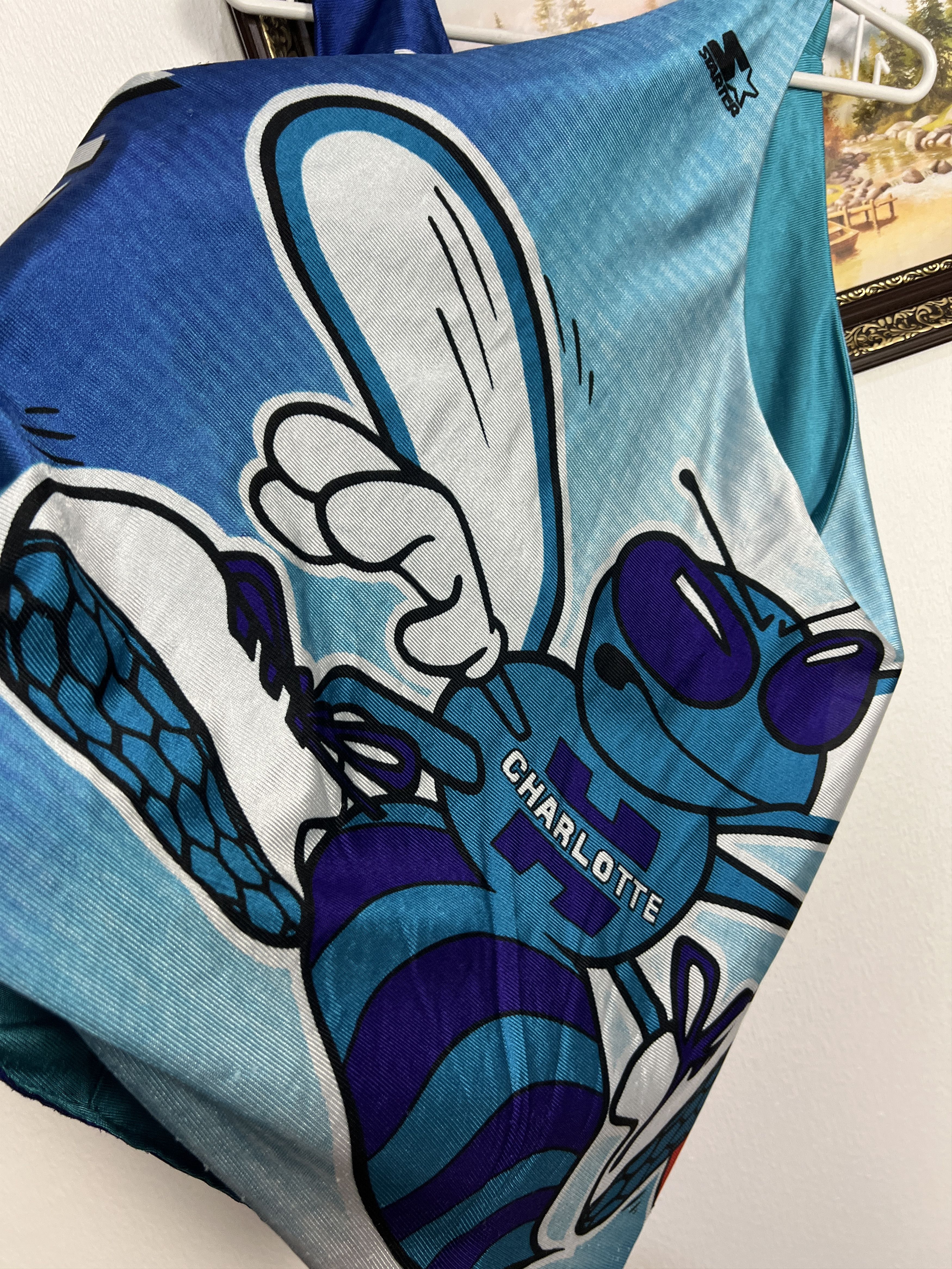 Starter Vintage 90's Charlotte Hornets NBA Reversible Jersey Rare Size US L / EU 52-54 / 3 - 8 Thumbnail
