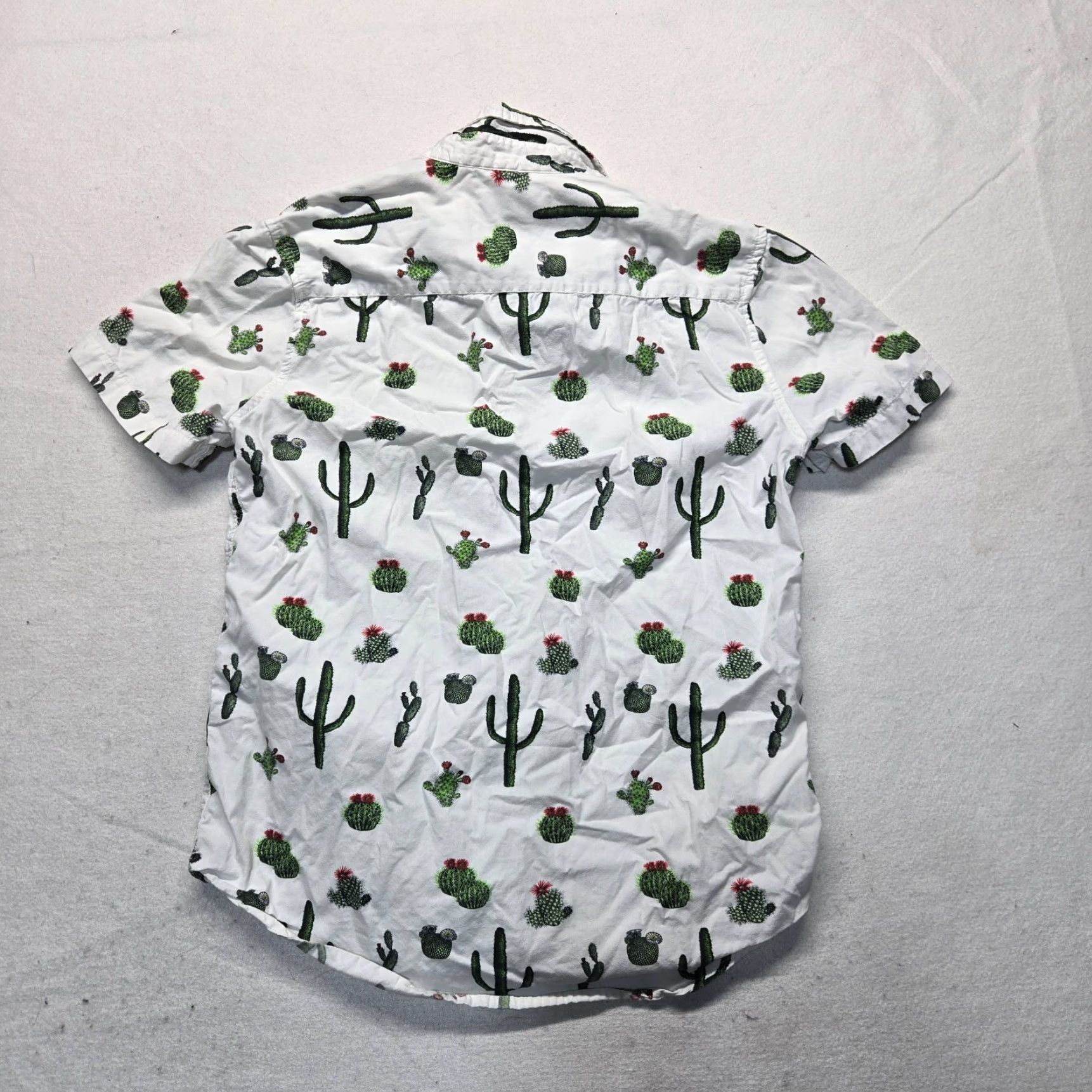 Vintage Vintage Cactus Men’s Short Sleeve Button-Up Shirt Small White Casual Graphic Print Season: Spring Summer Fall Men Size US S / EU 44-46 / 1 - 7 Thumbnail
