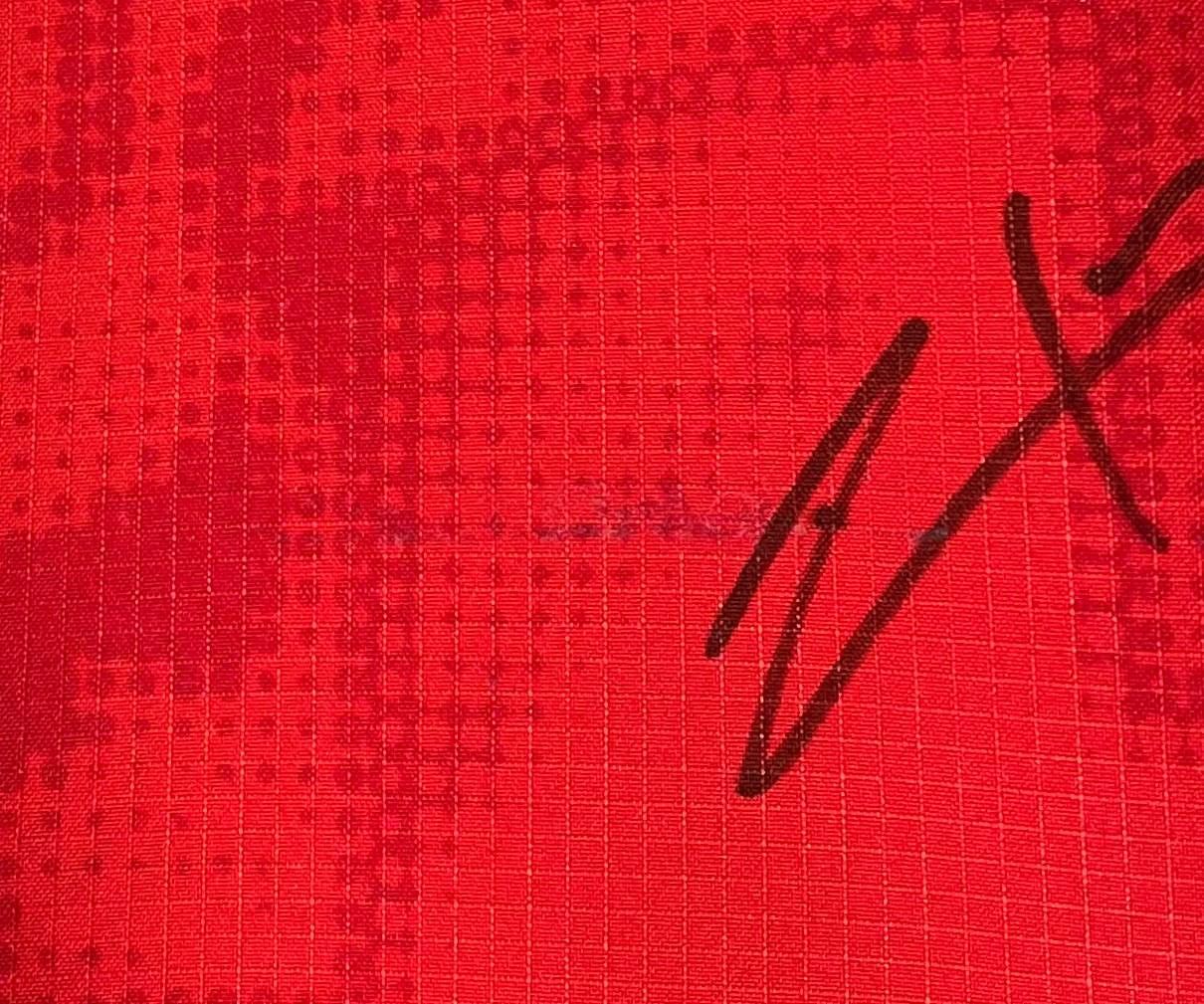 Puma Switzerland 2006/2007 PUMA Home Football Shirt Jersey signed Size US L / EU 52-54 / 3 - 3 Thumbnail