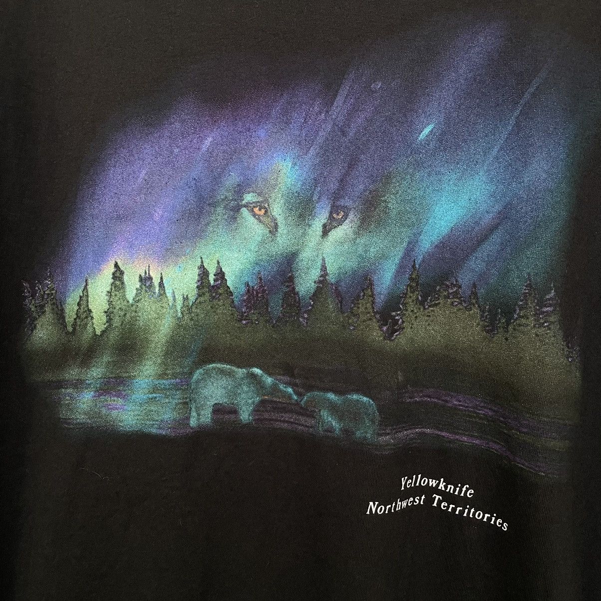 Habitat × Vintage Vintage 1990s Yellowknife Northern Territories Habitat Tee Size US M / EU 48-50 / 2 - 2 Thumbnail