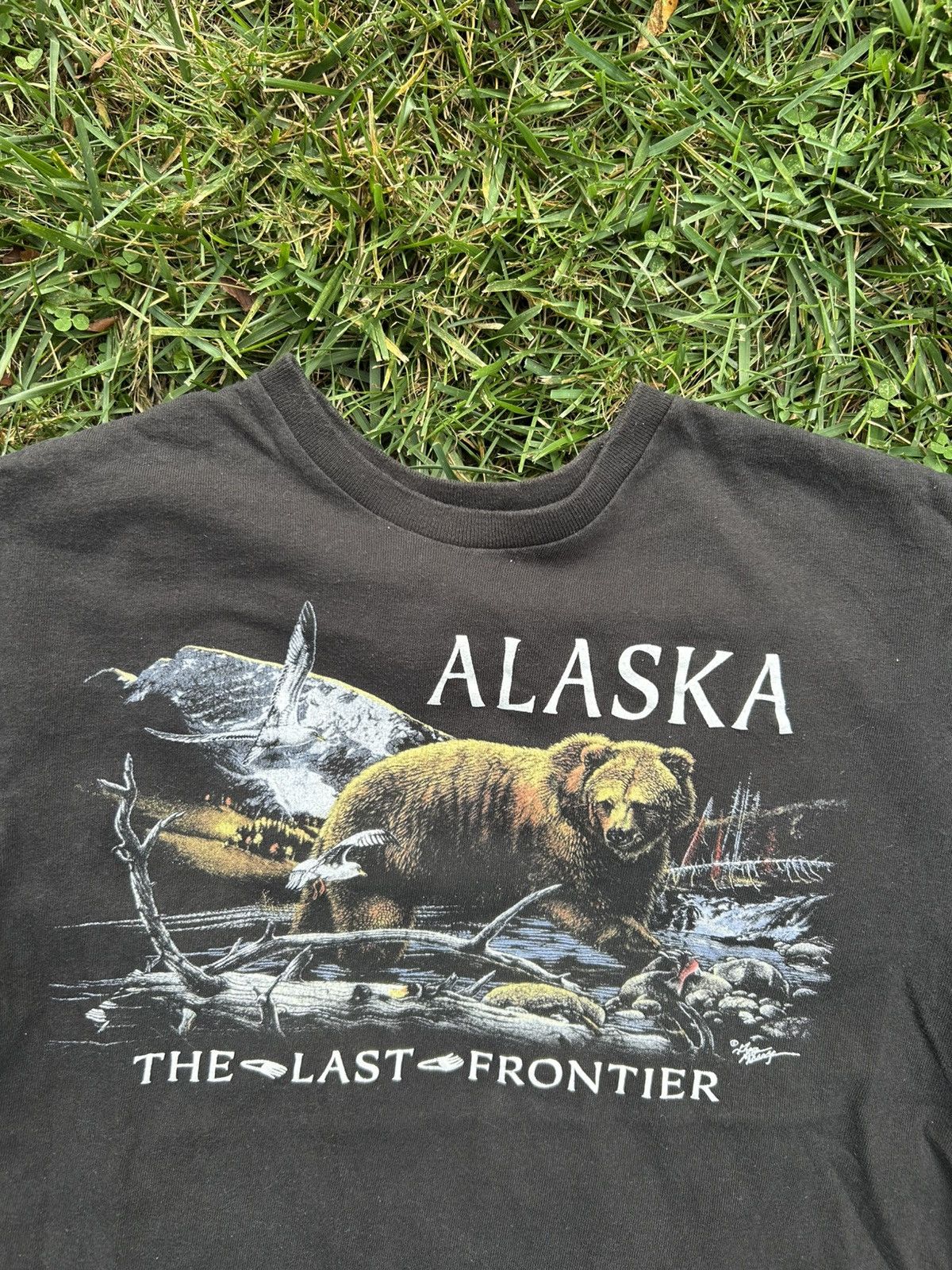 Vintage 90s Alaska Nature/Wilderness Tee Size US S / EU 44-46 / 1 - 2 Thumbnail