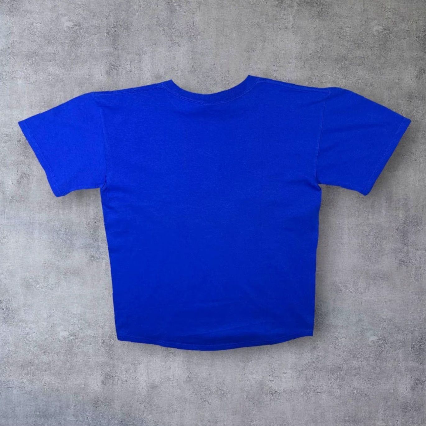 Gildan ARIZONA Cactus Gecko Desert Landscape Souvenir Graphic Blue T-Shirt Medium Mens Crew Neck Short Sleeve Shirt Size US M / EU 48-50 / 2 - 2 Thumbnail