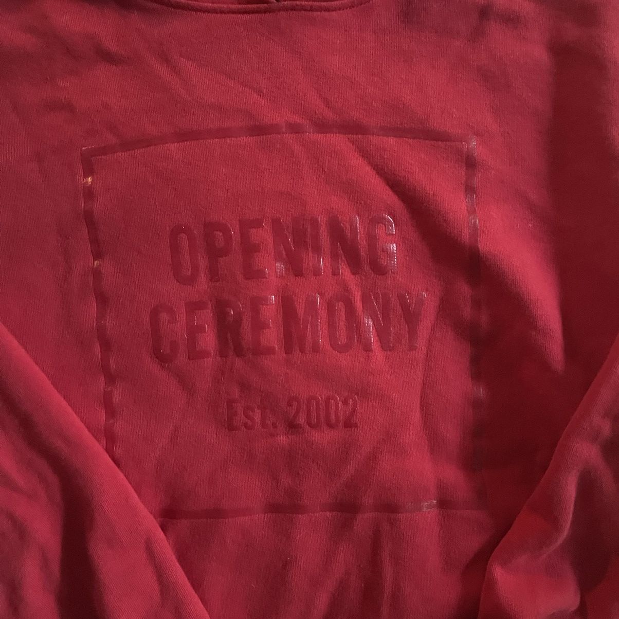 Opening Ceremony Opening Ceremony Hoodie Size L / US 10 / IT 46 - 2 Thumbnail