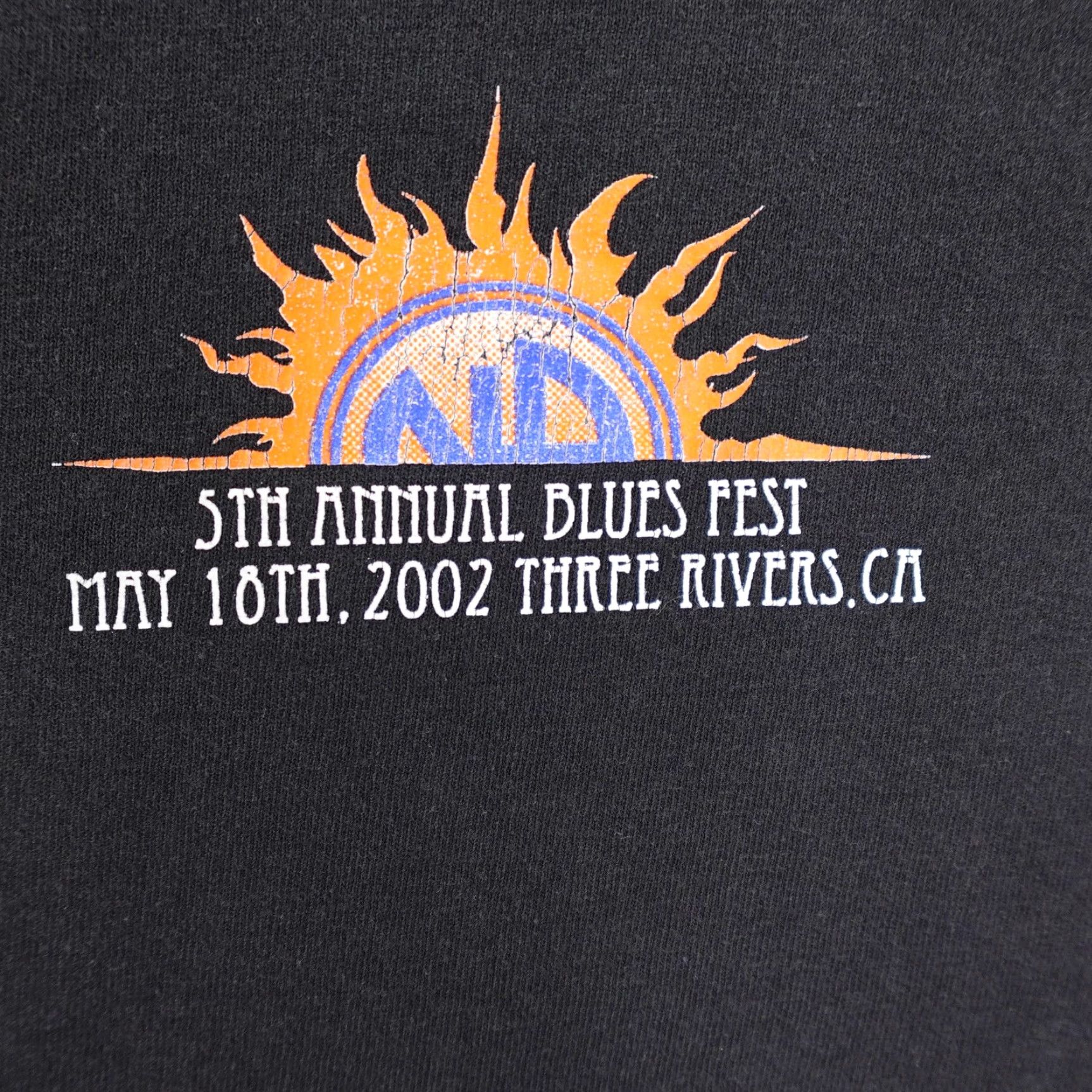 Gildan VINTAGE Three Rivers Blues Fest Shirt Mens Large Black 5th Annual 2002 Y2K Size US L / EU 52-54 / 3 - 3 Thumbnail