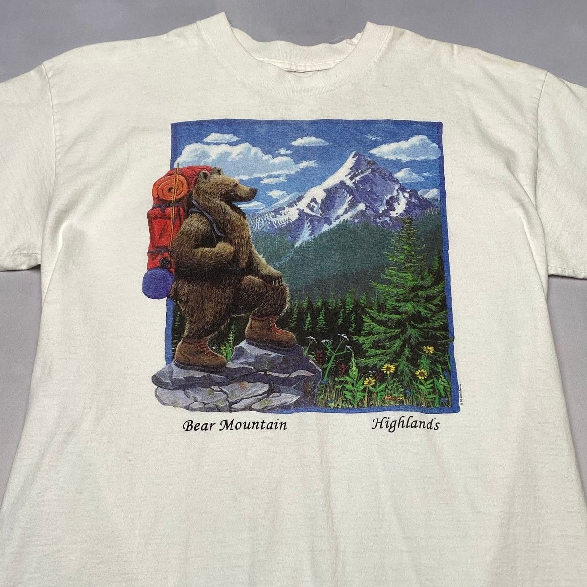 Vintage Vintage 1995 Jim Morris Bear Mountain Highlands Shirt 22x30 Size US L / EU 52-54 / 3 - 2 Thumbnail