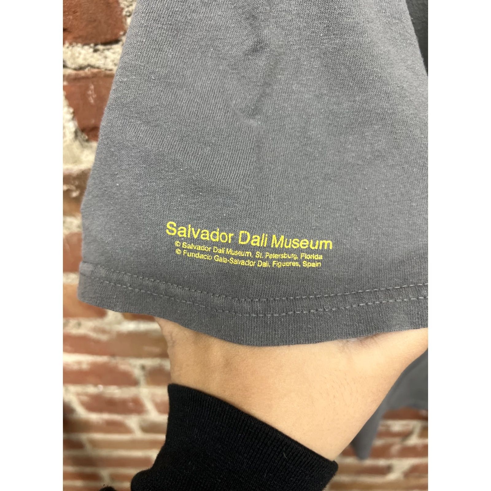 Anvil 2011 The Salvador Dali Museum 1976 Lincoln in Dalivision Shirt 2XL Gray T23 Art Men XS? Size US XXL / EU 58 / 5 - 4 Thumbnail