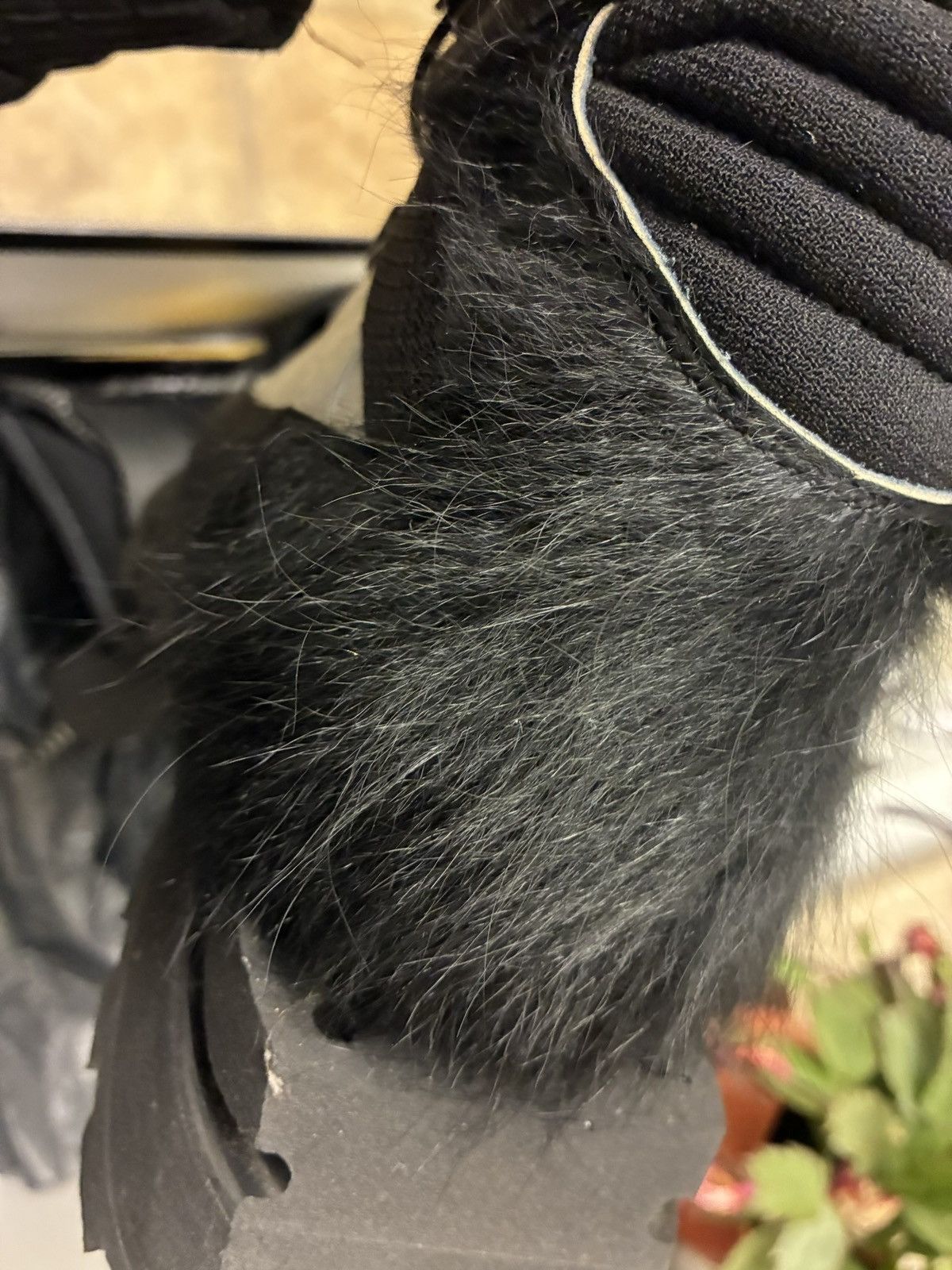 Demon Demon carbonaz fur boots goat heel Size US 9.5 / EU 42-43 - 4 Thumbnail