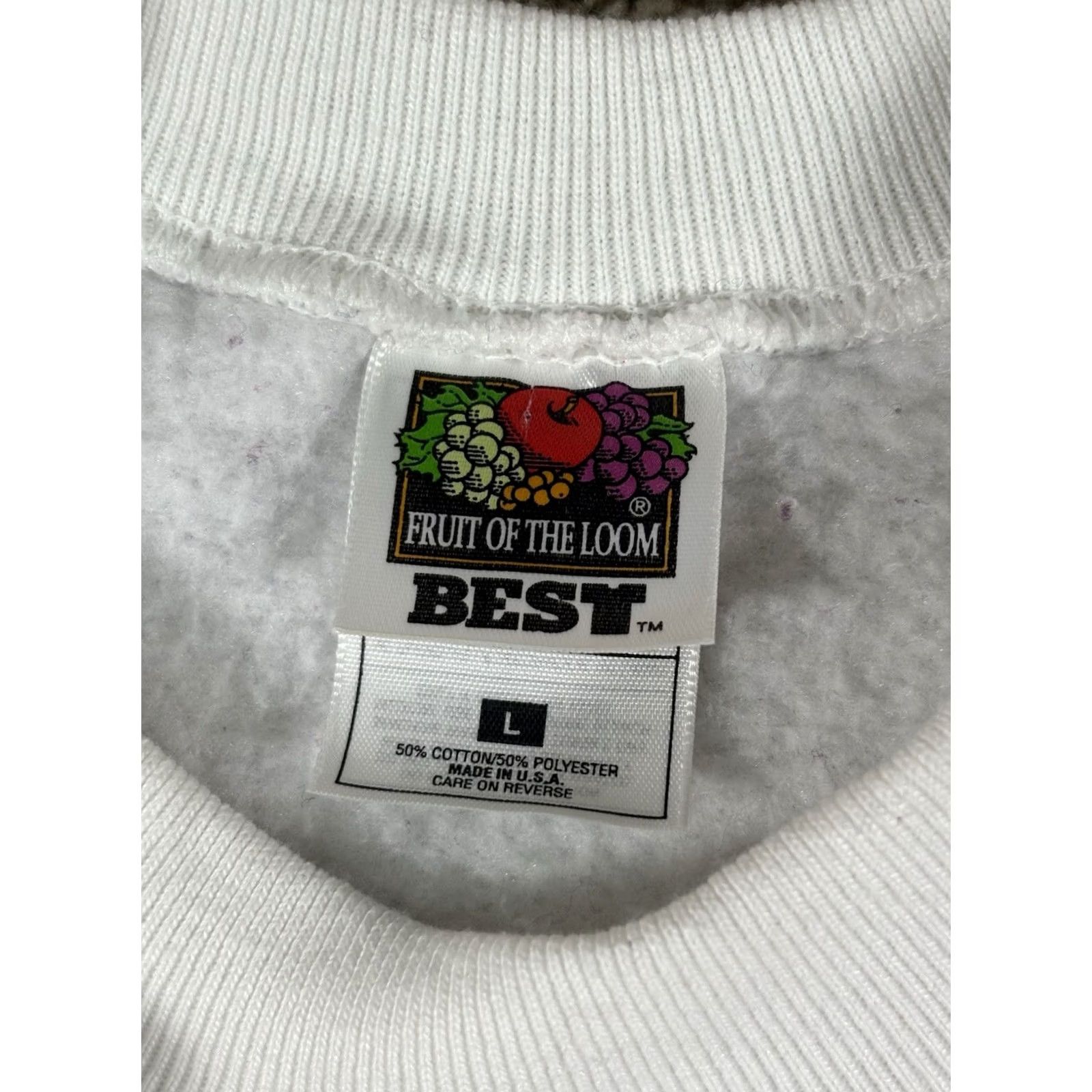 Fruit Of The Loom VINTAGE Door County Wisconsin Pullover Crewneck Sweatshirt Men Large White Apple Graphic Print 90s, US Midwest, Fruit of the Loom Size US L / EU 52-54 / 3 - 3 Thumbnail