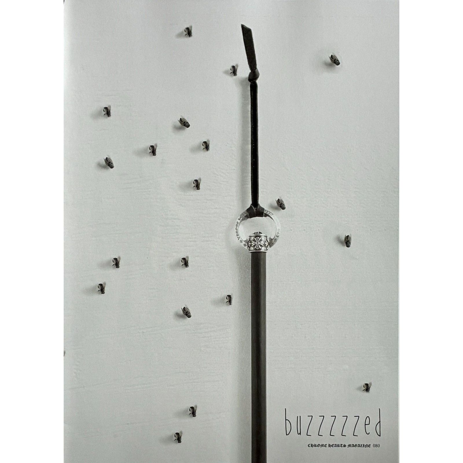 Chrome Hearts × Japanese Brand × Vintage Chrome Hearts flies photo Poster framed 9x11 Size ONE SIZE - 2 Thumbnail