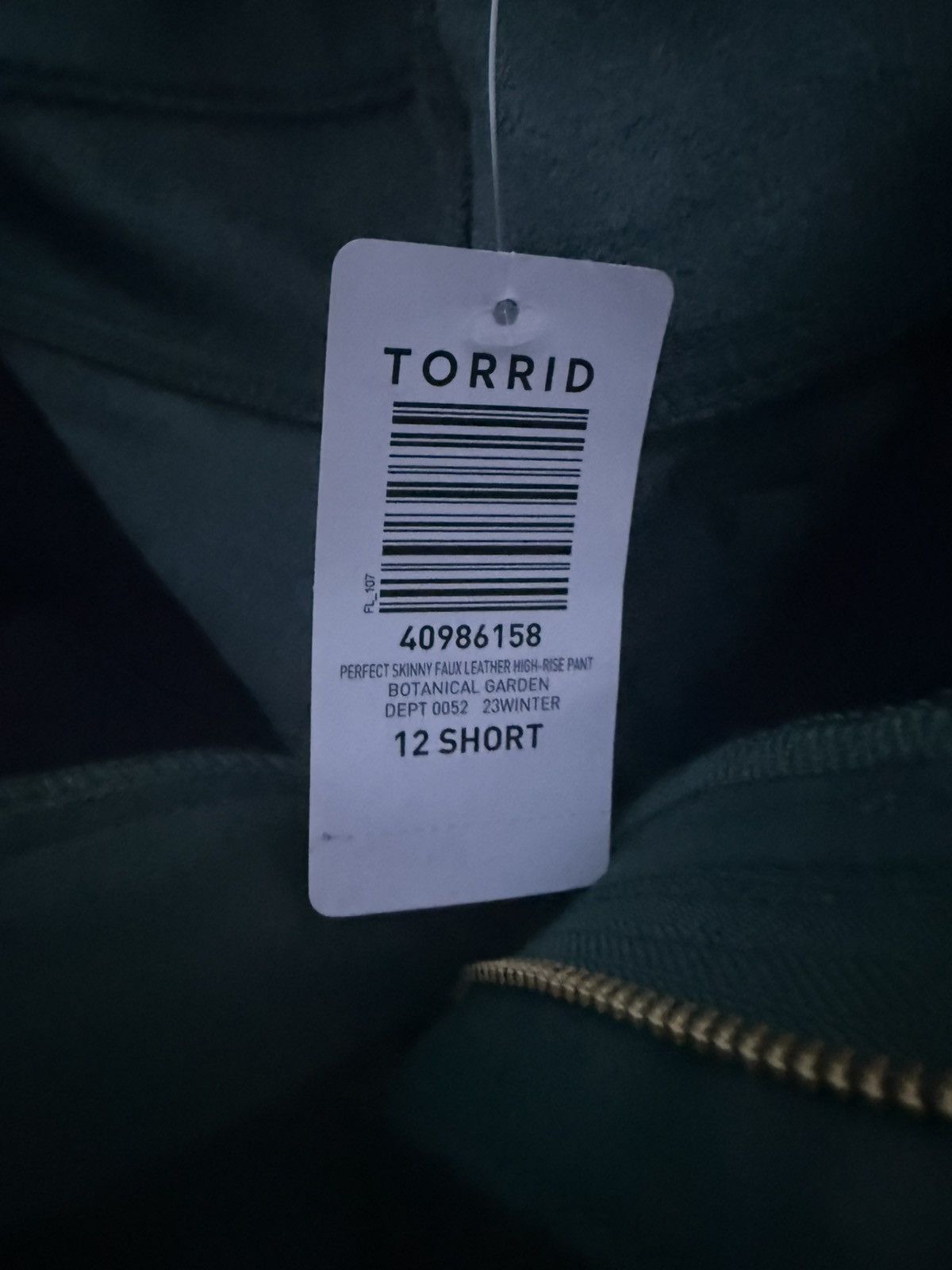 Torrid Torrid Green Faux Leather Pants High Rise Skinny Size 12 S Size 38" / US 16 / IT 52 - 4 Thumbnail