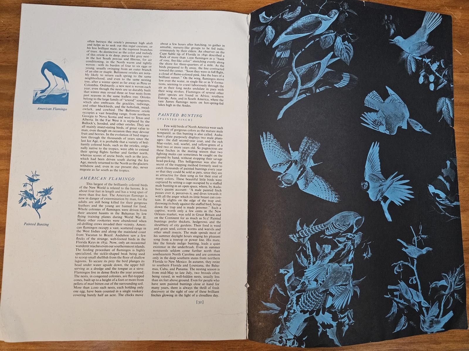 Other The Audubon Folio Book by George Dock Jr. Size ONE SIZE - 5 Thumbnail