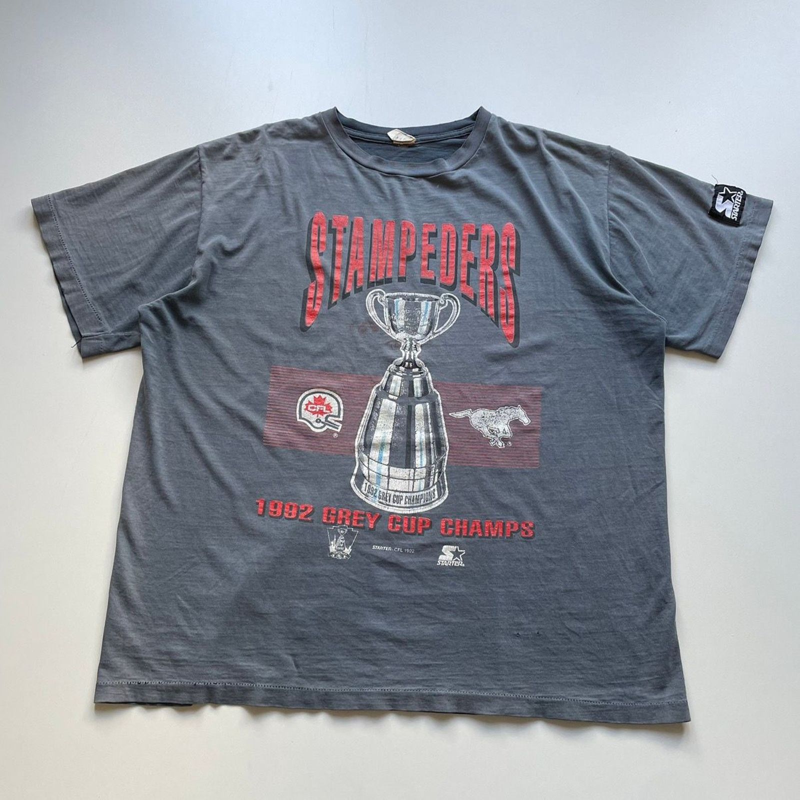 NFL Vintage 90s Calgary Stampeders T Shirt XL CFL Starter Faded Size US XL / EU 56 / 4 - 1 Thumbnail