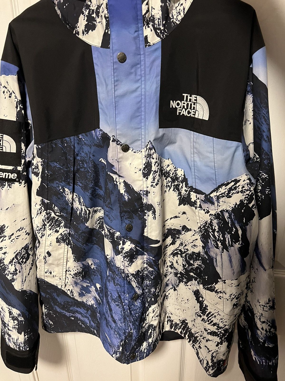 supreme the north face parka