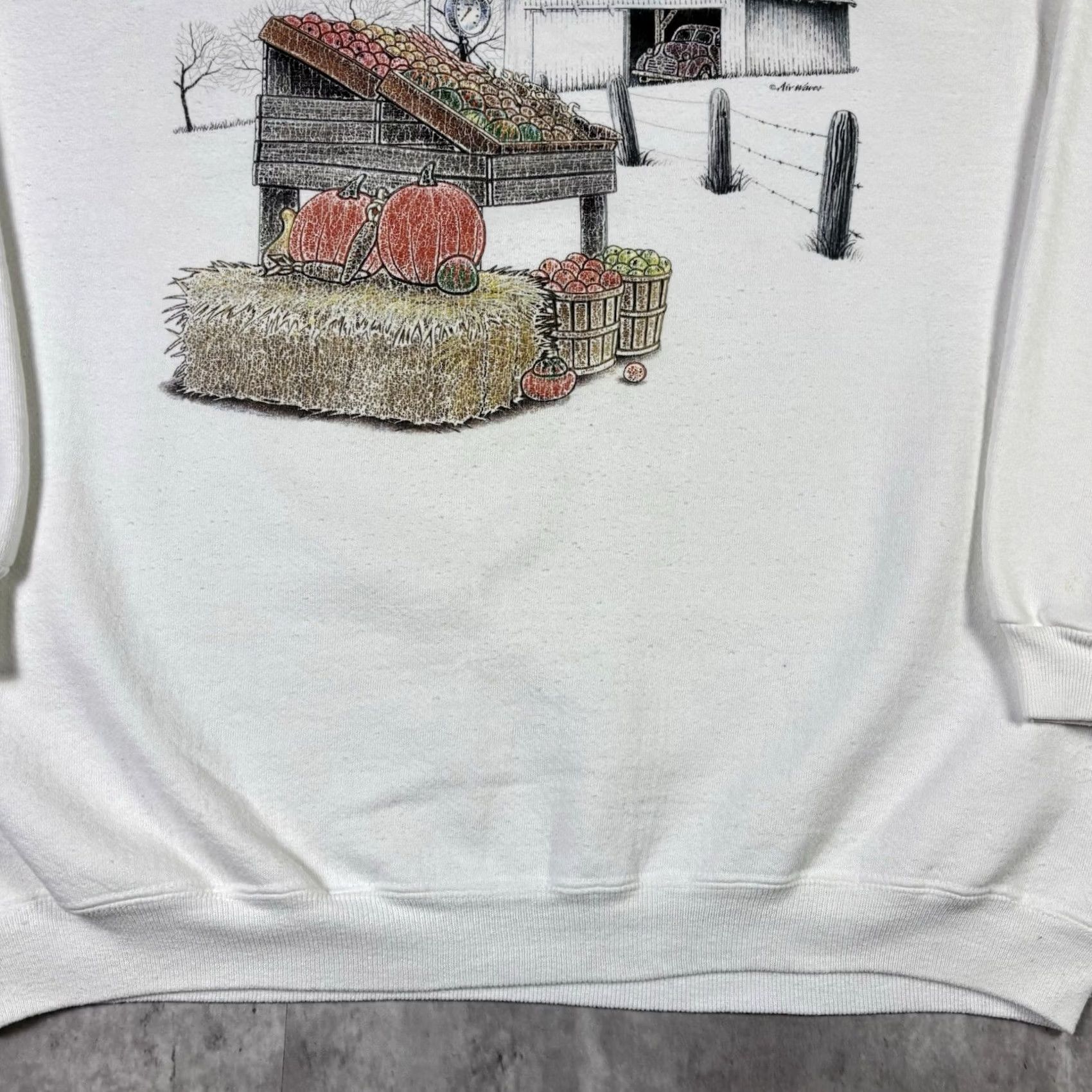 Vintage VINTAGE 90s Farm Barn Pumpkin Nature Crewneck Sweatshirt Adult Large Orange Logo Graphic Print Mens Size US L / EU 52-54 / 3 - 6 Thumbnail