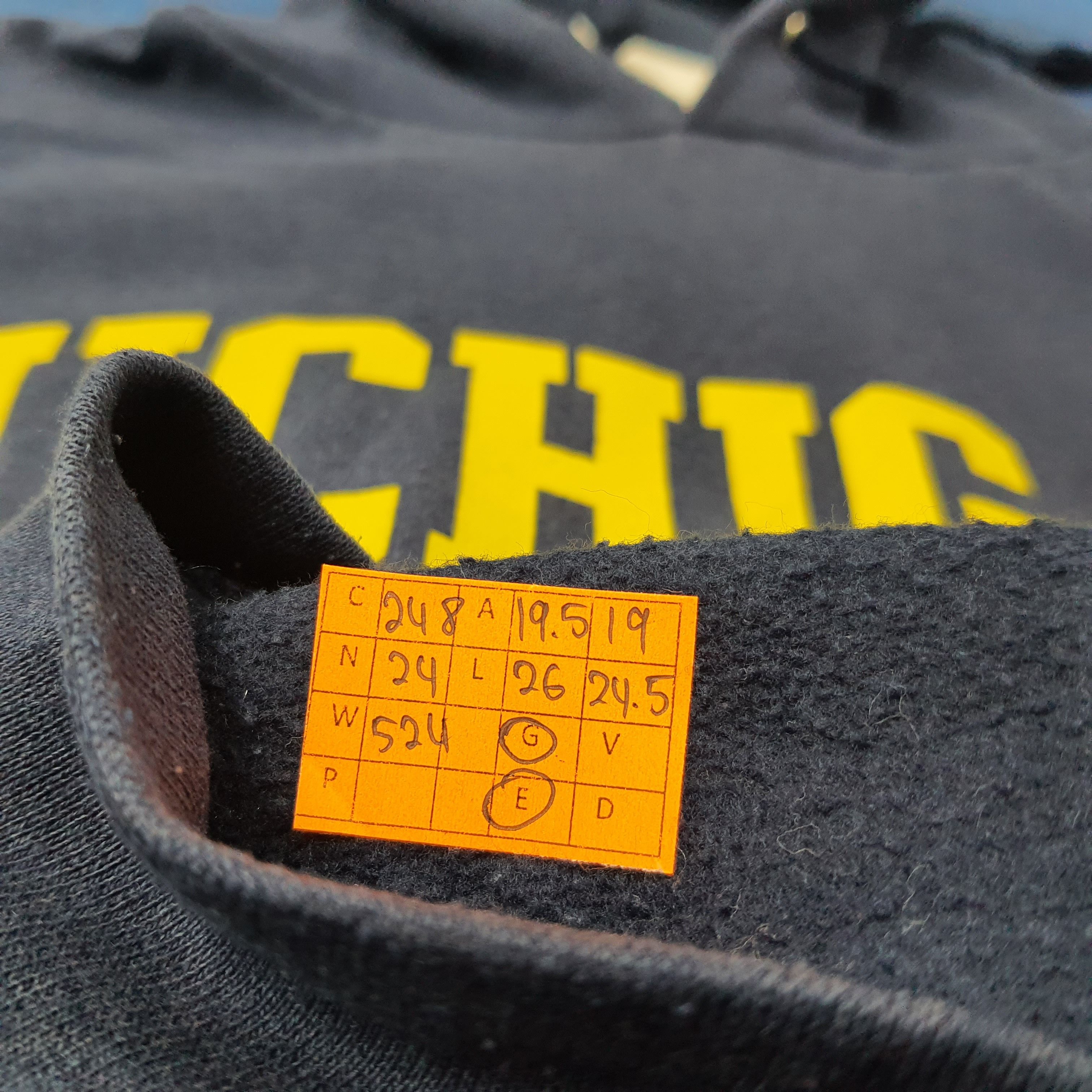 Champion Vintage Champion Michigan United State Hoodie C248N24 Size US S / EU 44-46 / 1 - 7 Thumbnail