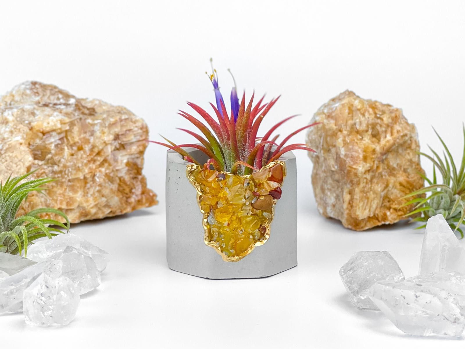 Other Yellow Agate Crystal Air Plant Holder Succulent Planter Size ONE SIZE - 6 Thumbnail