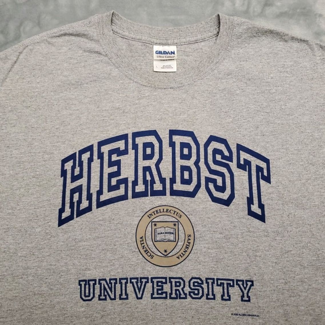 Gildan VINTAGE Herbst University Shirt Mens Large Gray Fictional College Skate Y2K TEE Size US L / EU 52-54 / 3 - 3 Thumbnail