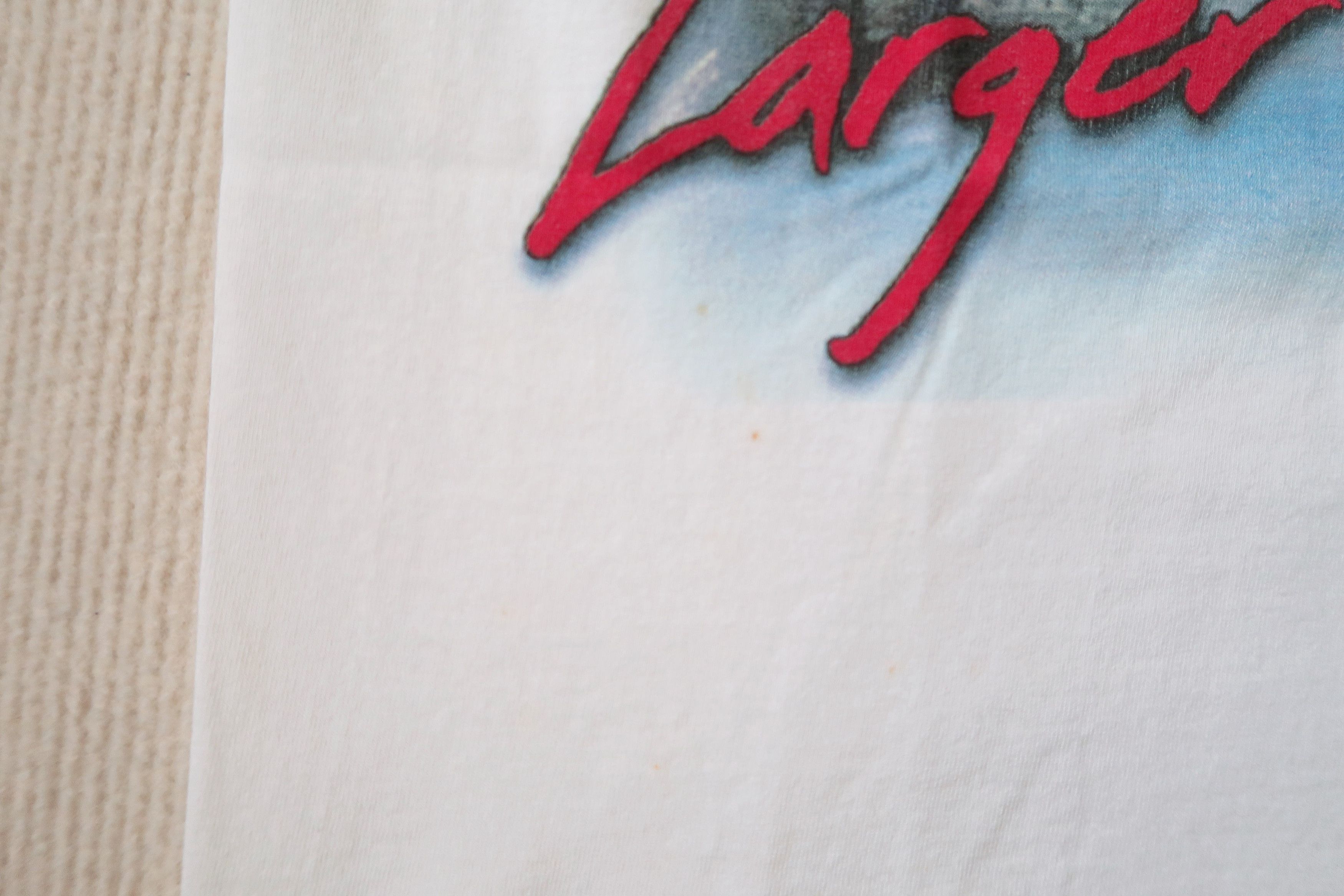 Other Dennis Rodman 'Larger Than Life' Skyline Bulls T-Shirt Size US M / EU 48-50 / 2 - 8 Thumbnail