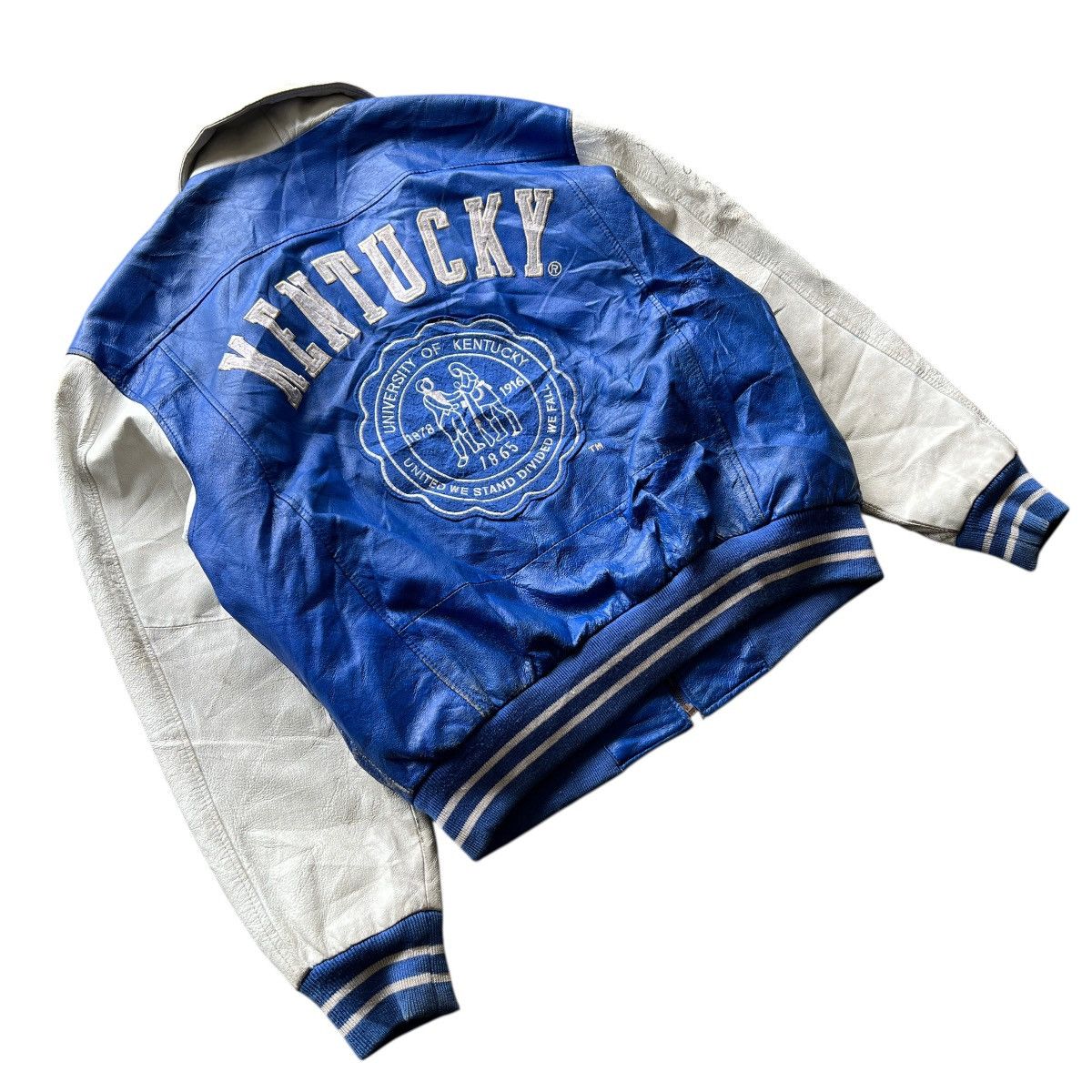 Vintage Vintage kentucky Wildcat Leather Bomber Jacket Size US L / EU 52-54 / 3 - 9 Thumbnail
