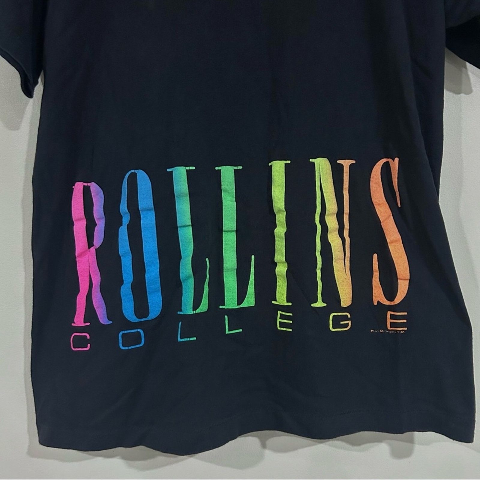 Other Vintage Rollins College Shirt Size US L / EU 52-54 / 3 - 2 Thumbnail