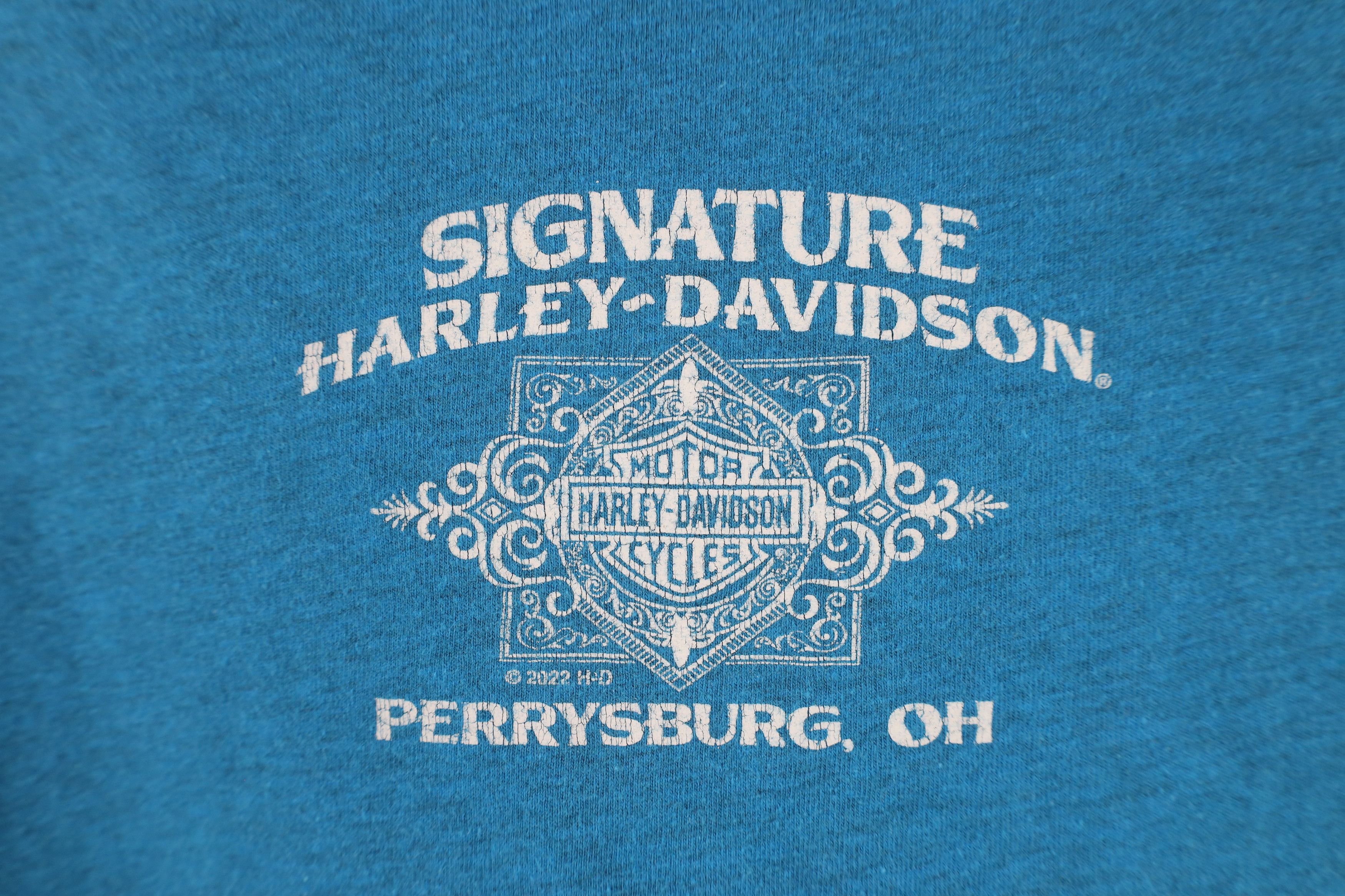 Harley Davidson × Vintage Y2K Harley Davidson Faded Spell Out Eagle Wings T-Shirt Blue Size L / US 10 / IT 46 - 9 Thumbnail