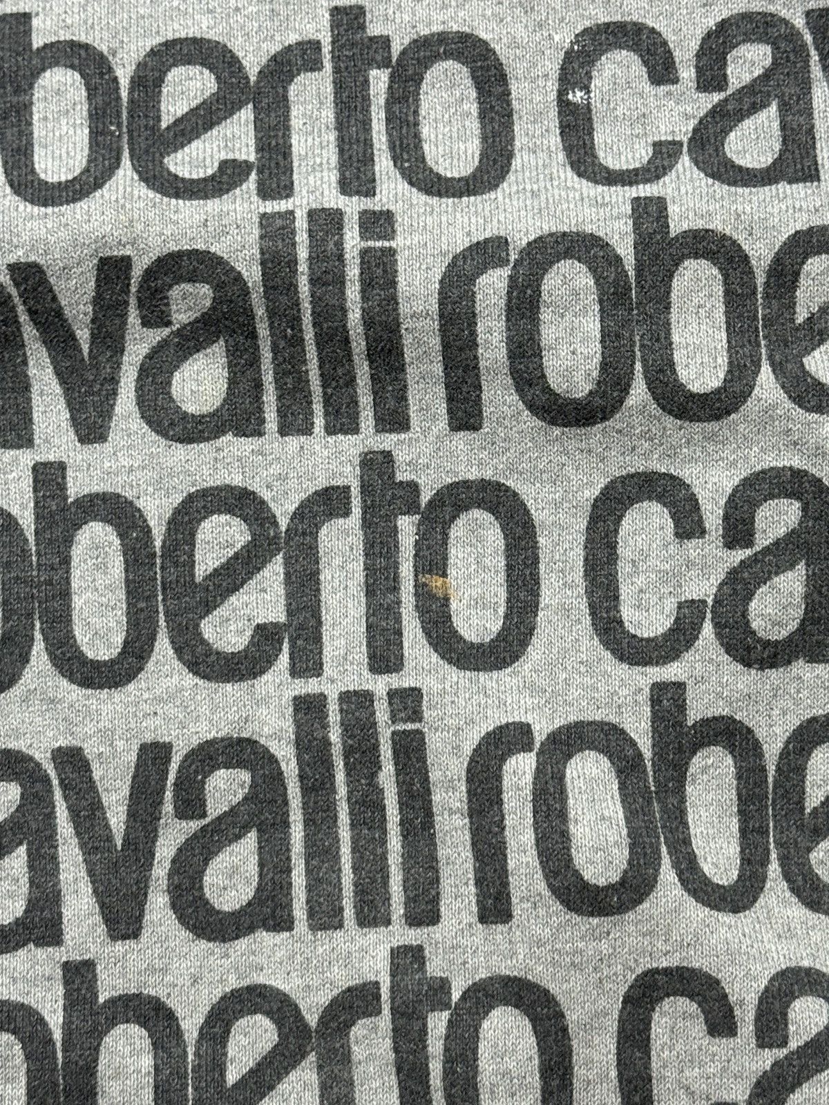 Roberto Cavalli VINTAGE ROBERTO CAVALLI 2000s MONOGRAM SWEATSHIRT Size S / US 4 / IT 40 - 5 Thumbnail