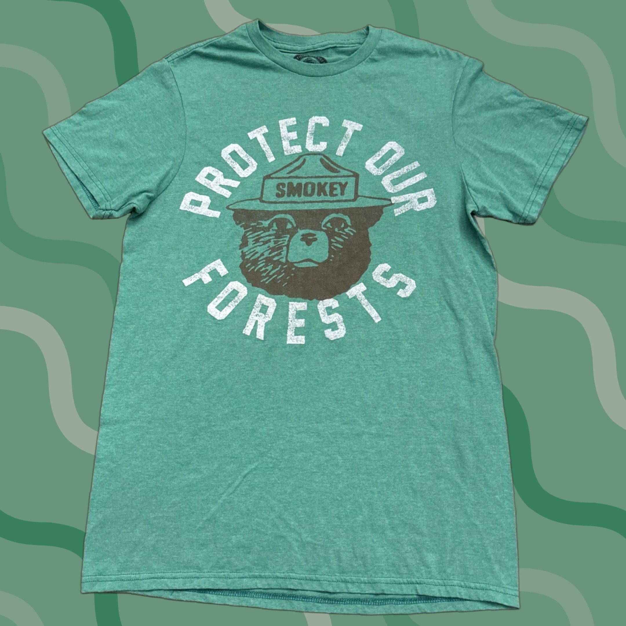 Vintage SMOKEY THE BEAR Shirt Men Green Size S Crew Neck T-Shirt Official Protect Our Forests STB Logo Graphic 90s-2000s Style Size US S / EU 44-46 / 1 - 1 Thumbnail