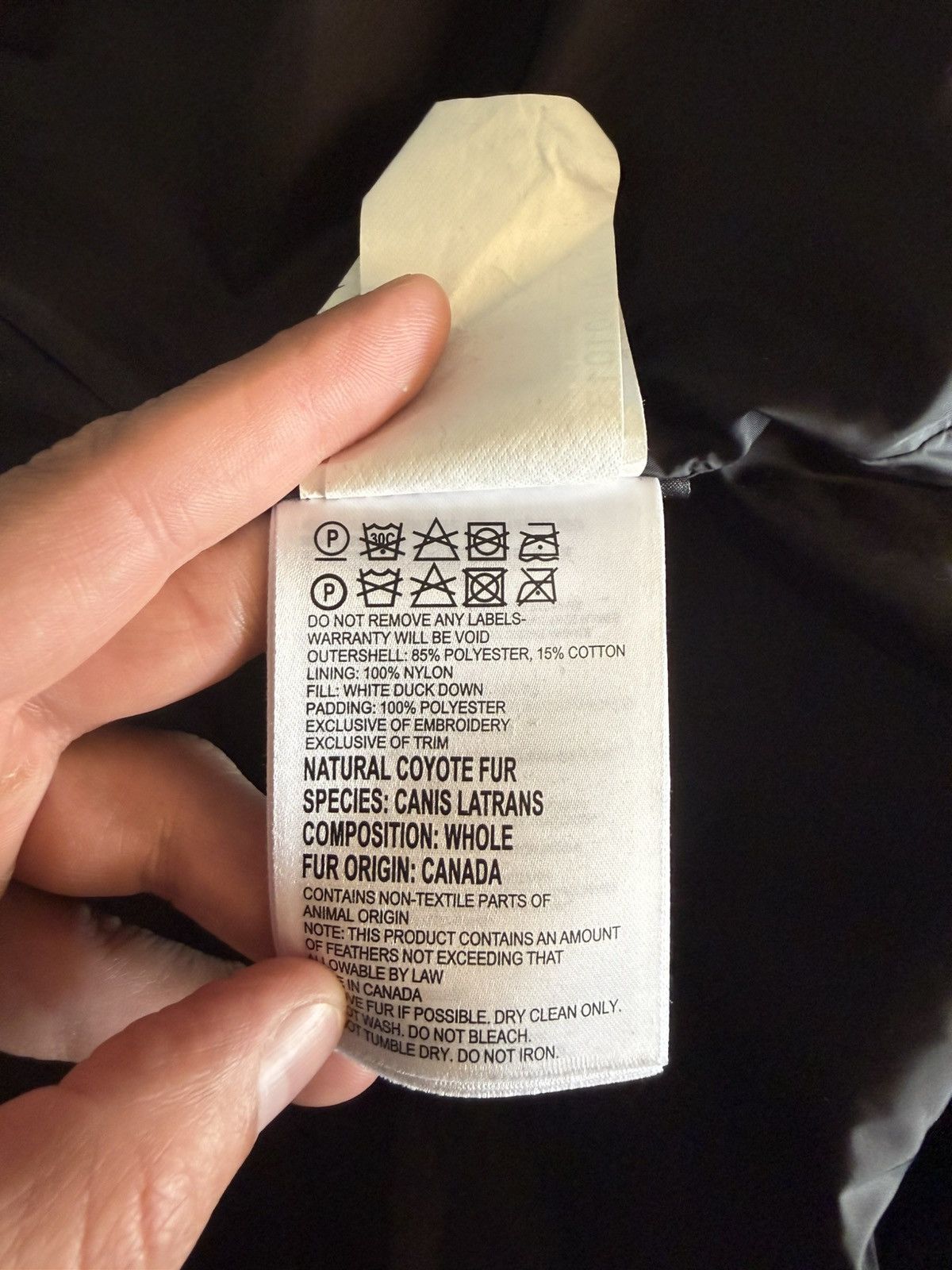 Canada Goose Canada goose carson with coyote fur XL Size US XL / EU 56 / 4 - 8 Thumbnail