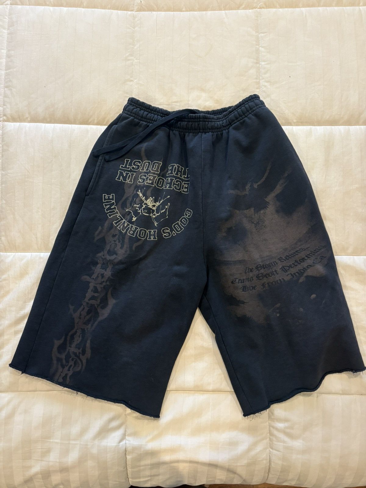 Travis Scott Travis Scott Cactus Jack Coachella Echos Shorts size Small Size US 30 / EU 46 - 1 Thumbnail
