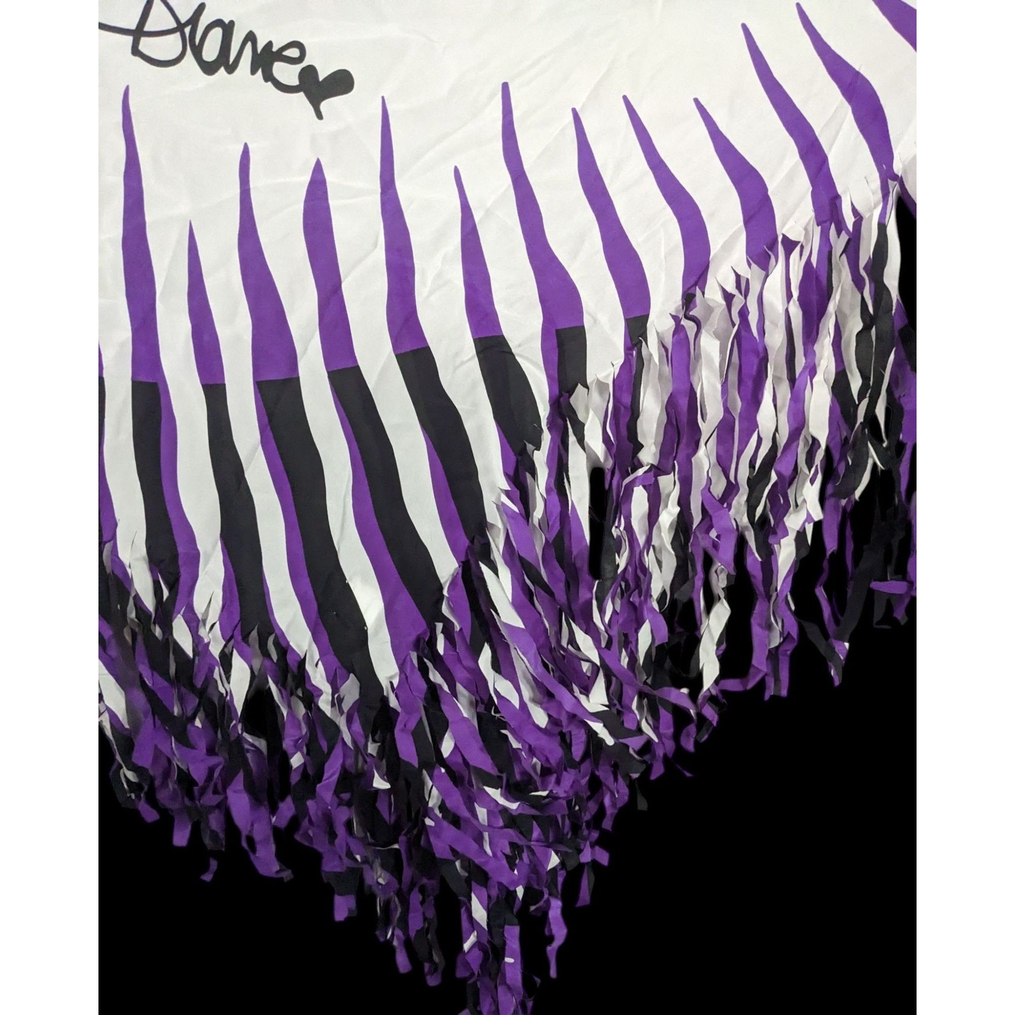 Diane von Furstenberg Vintage Diane Von Furstenberg Purple Stripe Silk Fringe Scar Size ONE SIZE - 4 Thumbnail