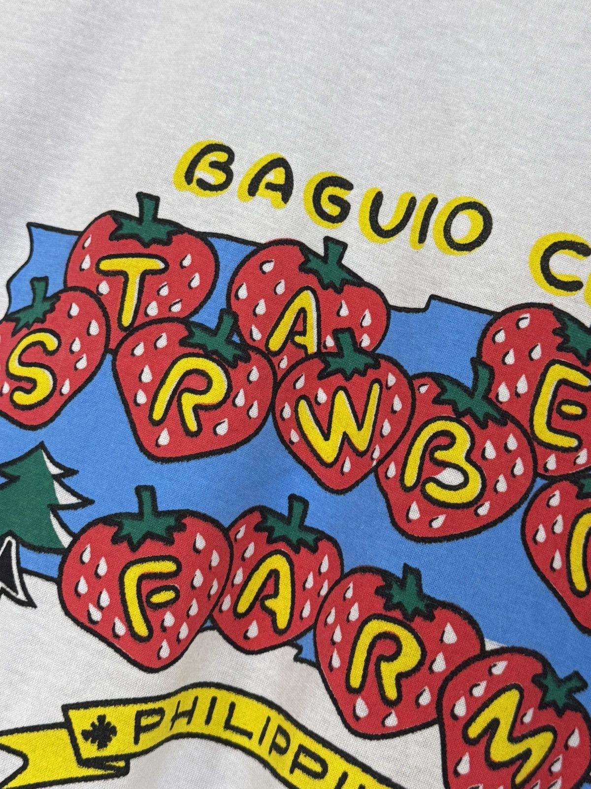 Vintage Vintage Baguio Strawberry Farm White Logo Tee!! Philippines Size US M / EU 48-50 / 2 - 3 Thumbnail