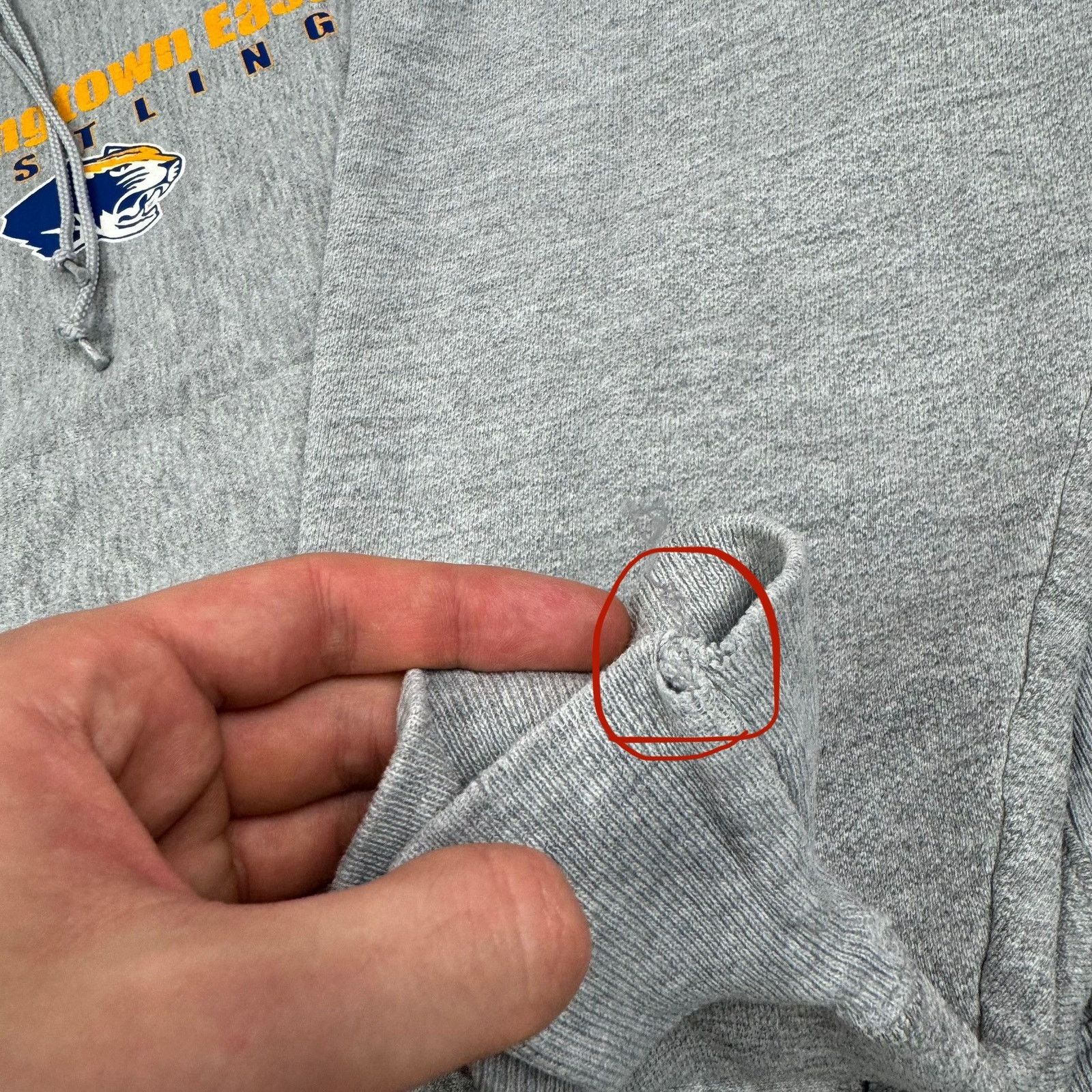Champion Champion Premium Weave Men Wrestling Downingtown East Hoodie Size US M / EU 48-50 / 2 - 7 Thumbnail