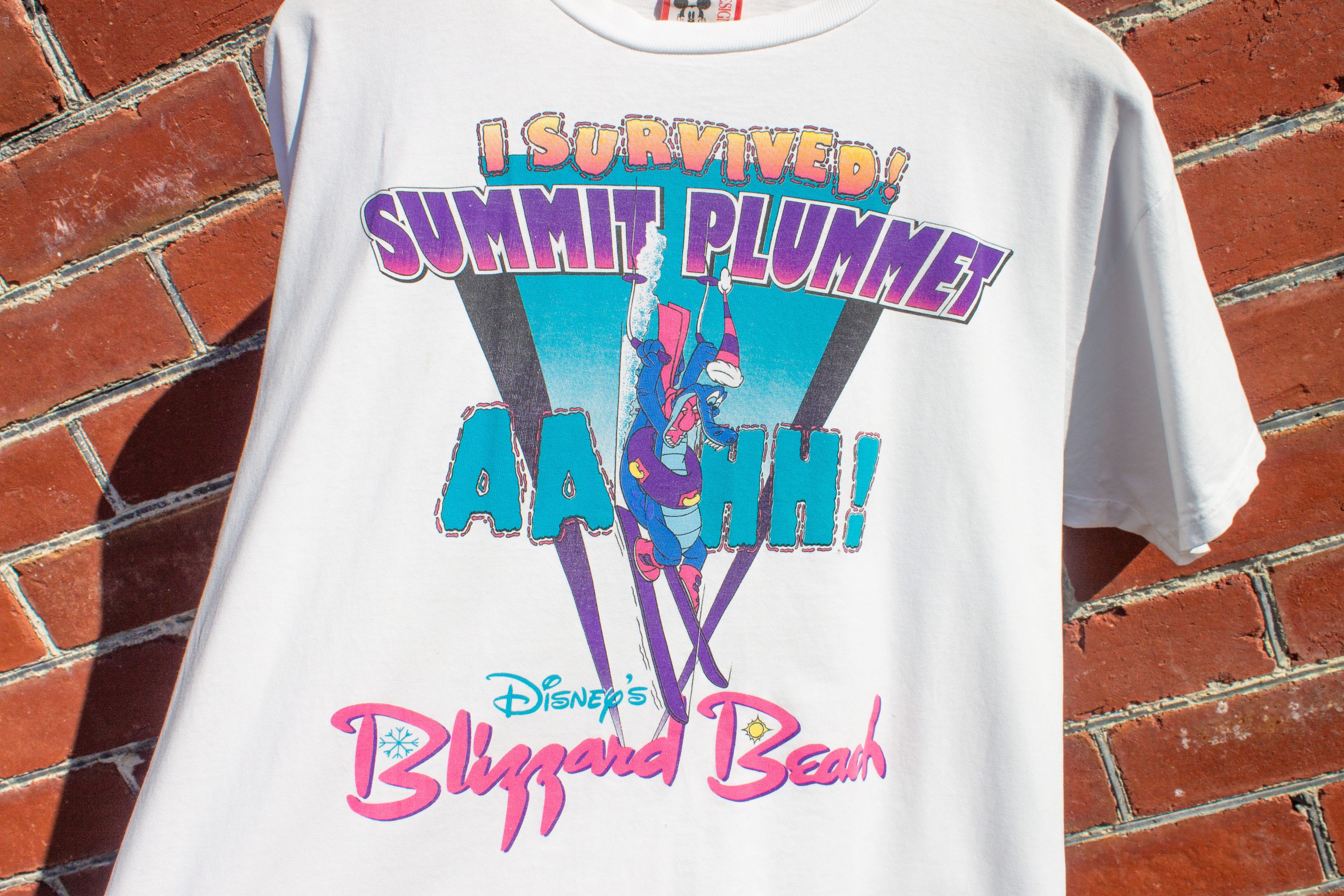 Disney 90's I Survived Summit Plummet T-Shirt Size L / US 10 / IT 46 - 4 Thumbnail